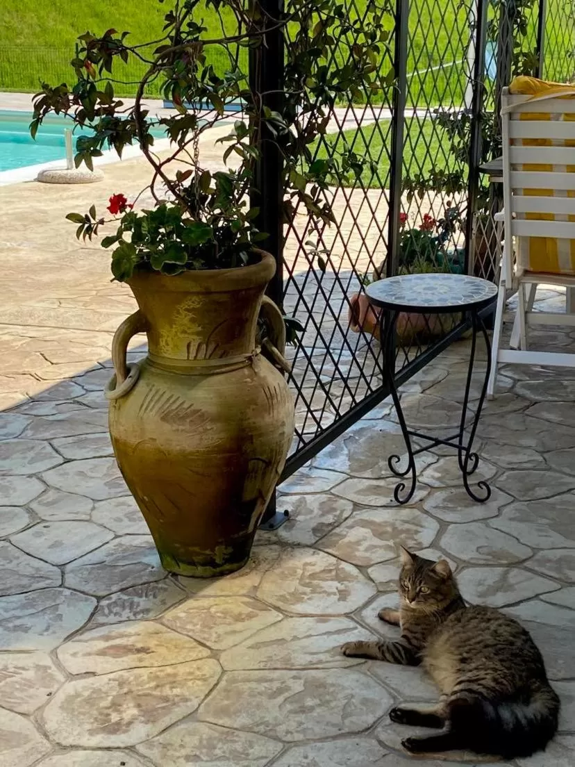 La Casa di Valeria - Modena