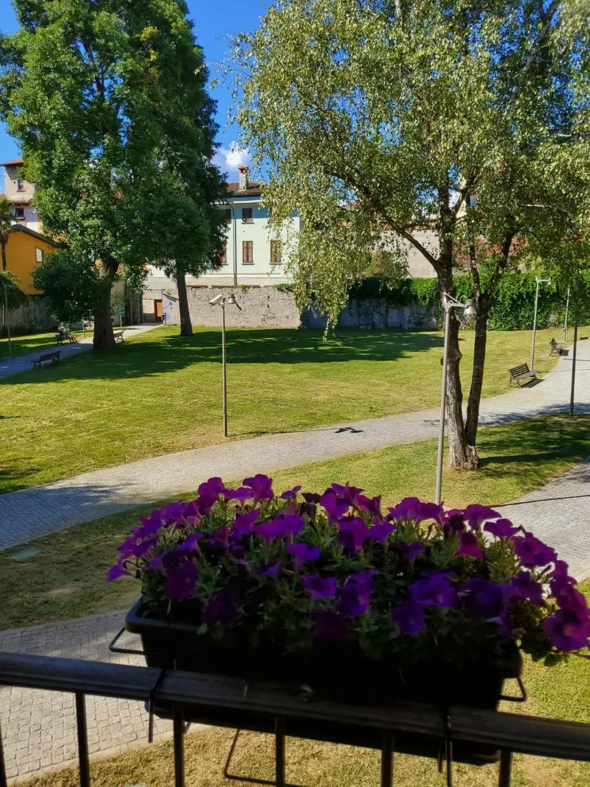 Garden view in Hotel La Contrada