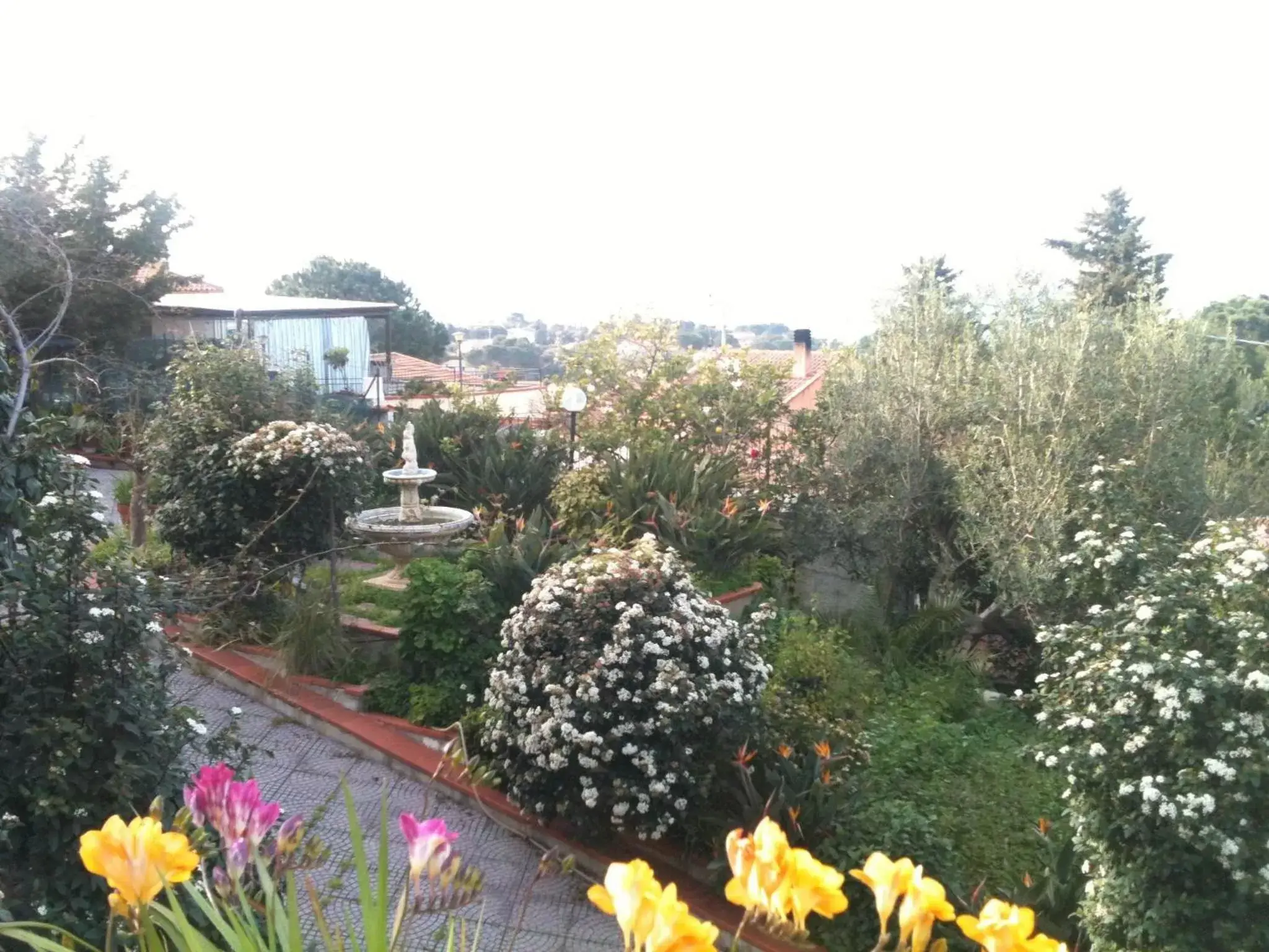 Garden in Stanza in Villa con giardino vista mare
