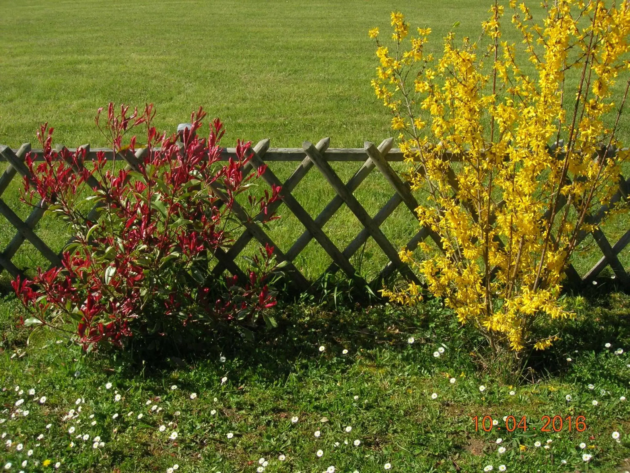 Garden in Le Colombier