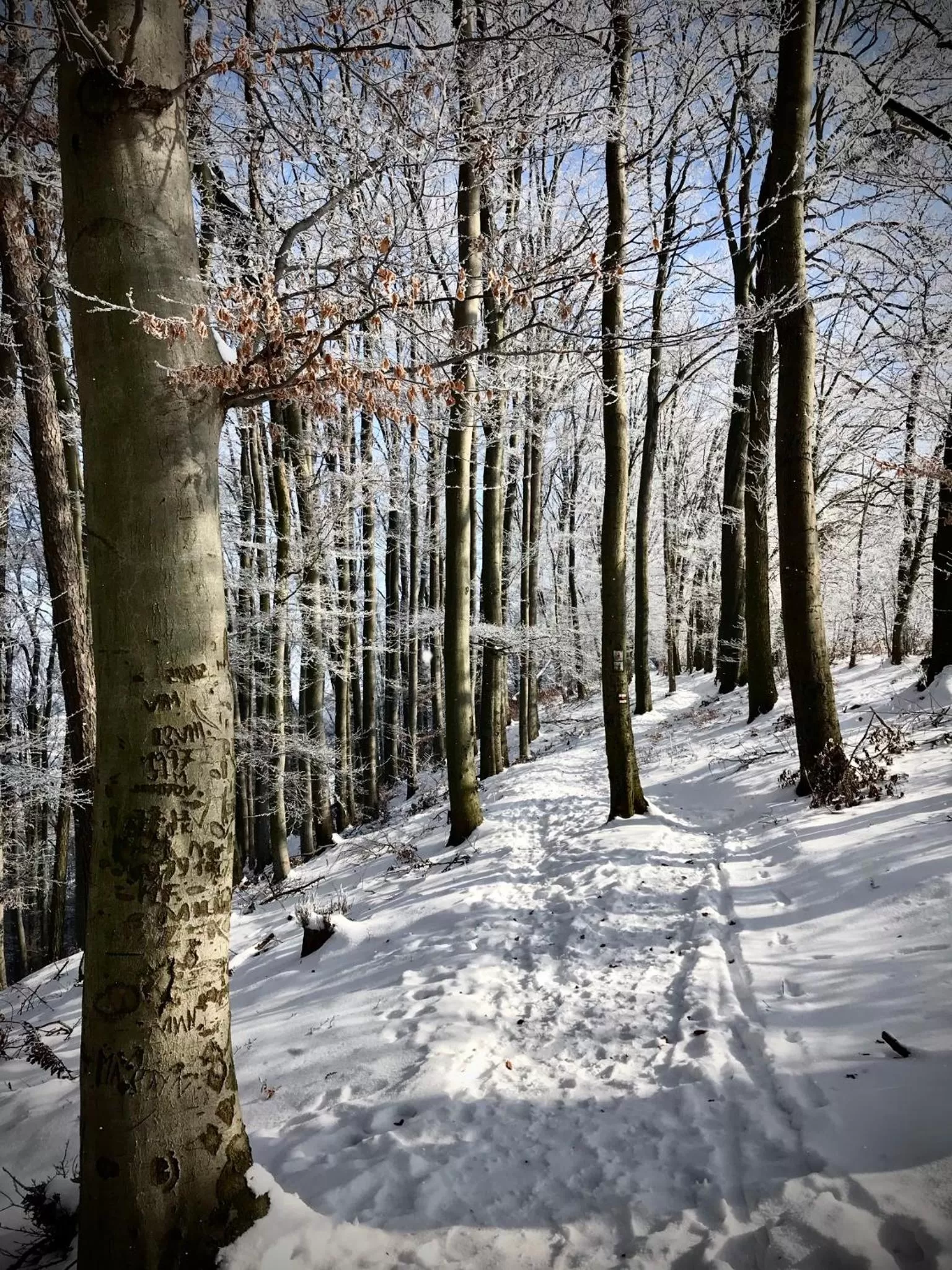 HARABURDI® Recyclart Hotel