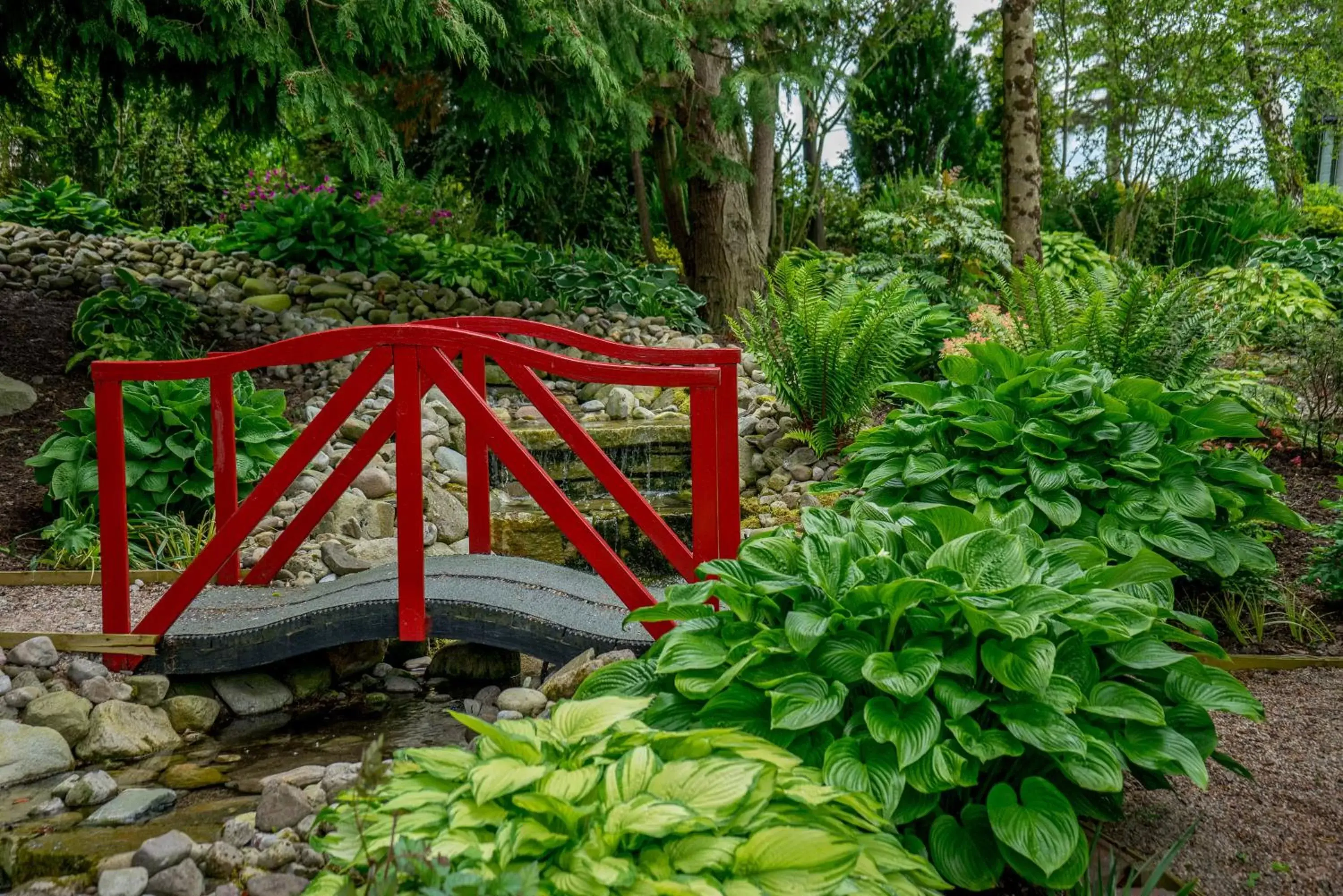 Garden in Tattykeel House