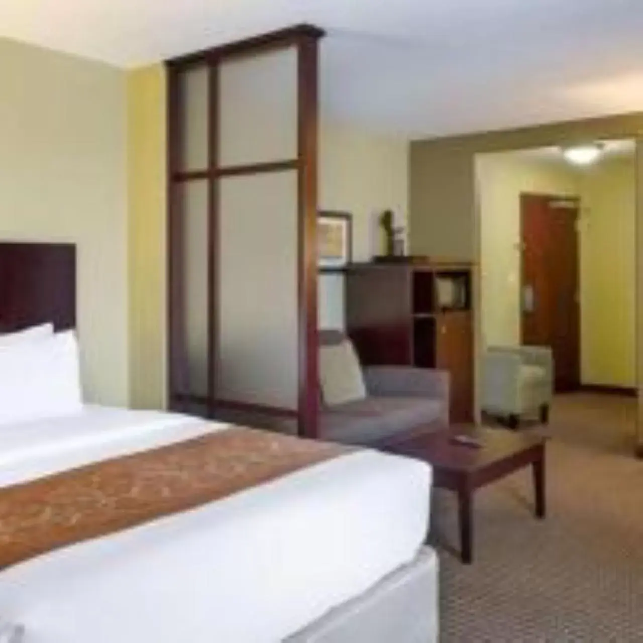 Bed, TV/Entertainment Center in Comfort Suites Harvey - New Orleans West Bank