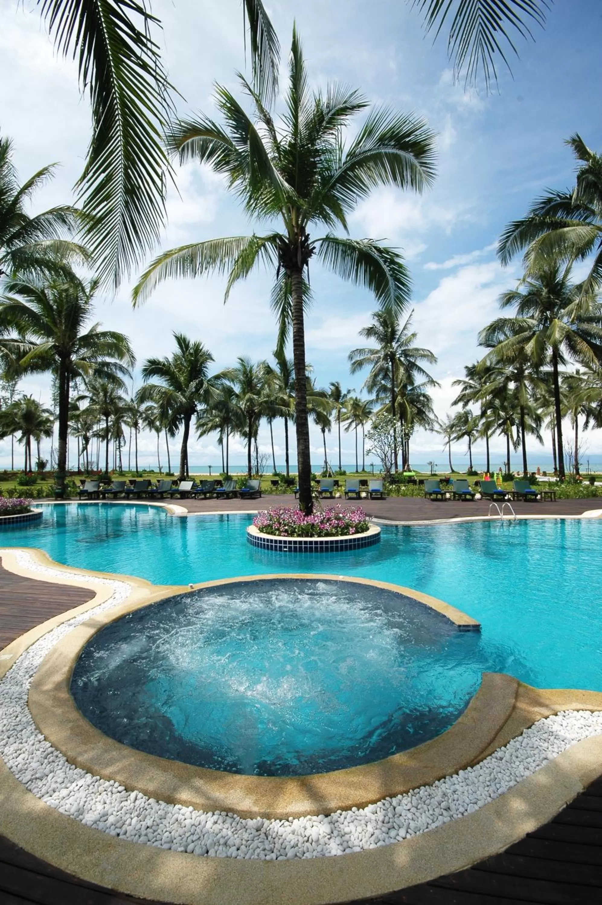 Swimming pool in Khaolak Orchid Beach Resort - SHA Extra Plus