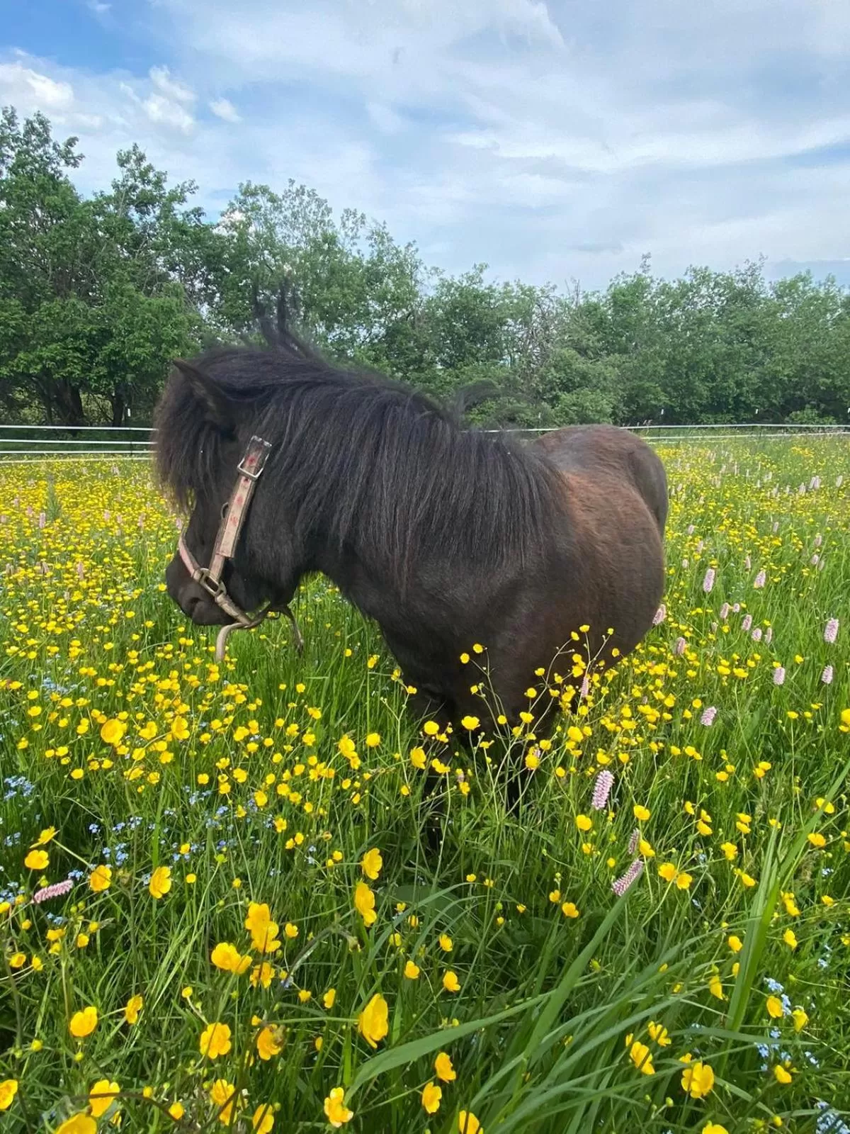 Property building in Hotel Lugsteinhof