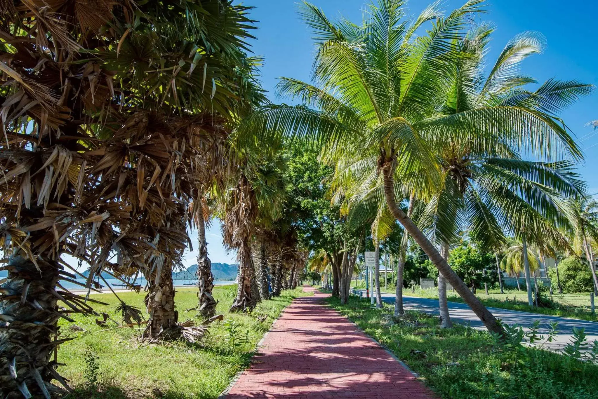 Beach, Garden in The Beach Village Resort