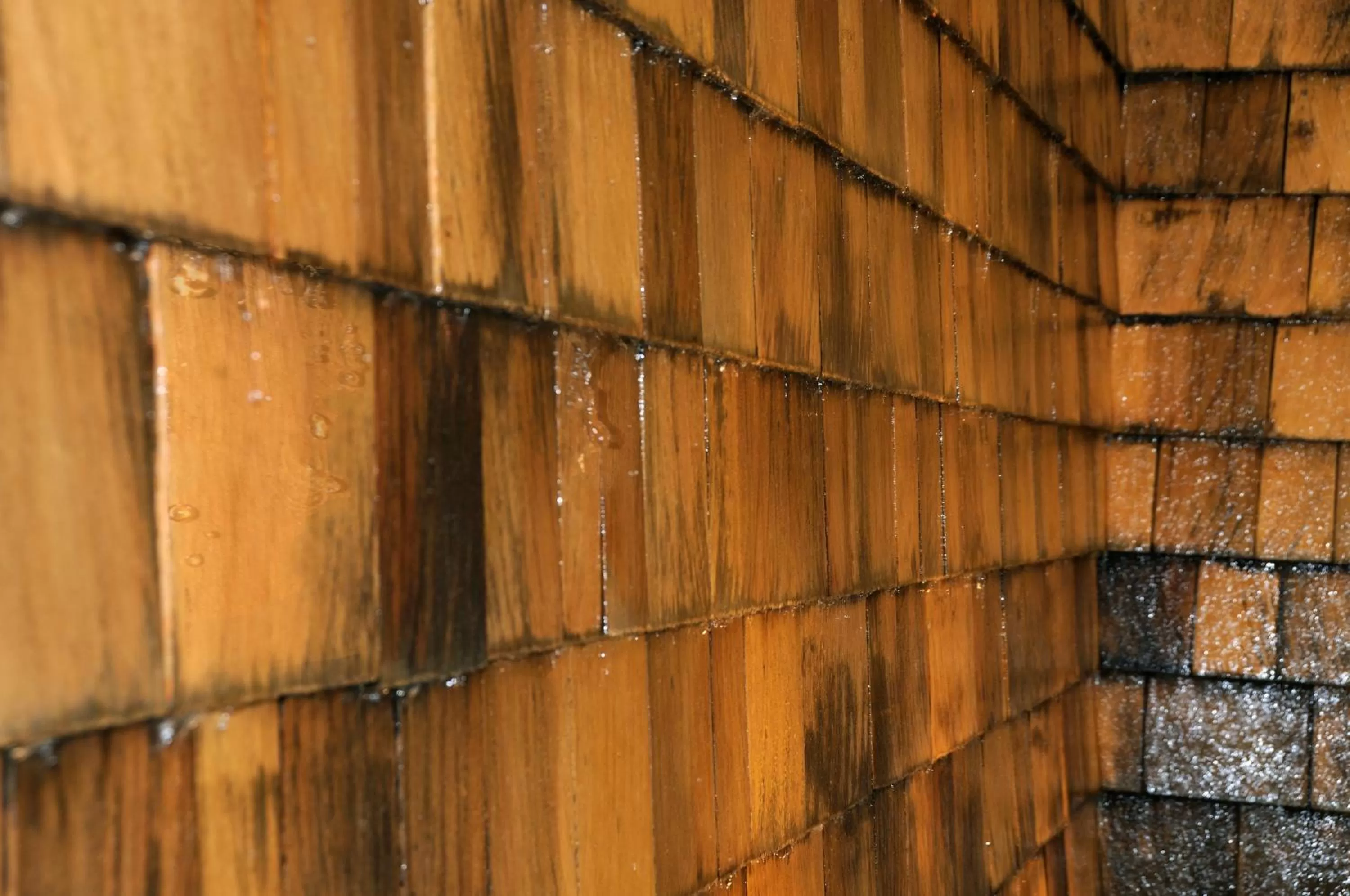 Other in Coco-Mat Hotel Athens