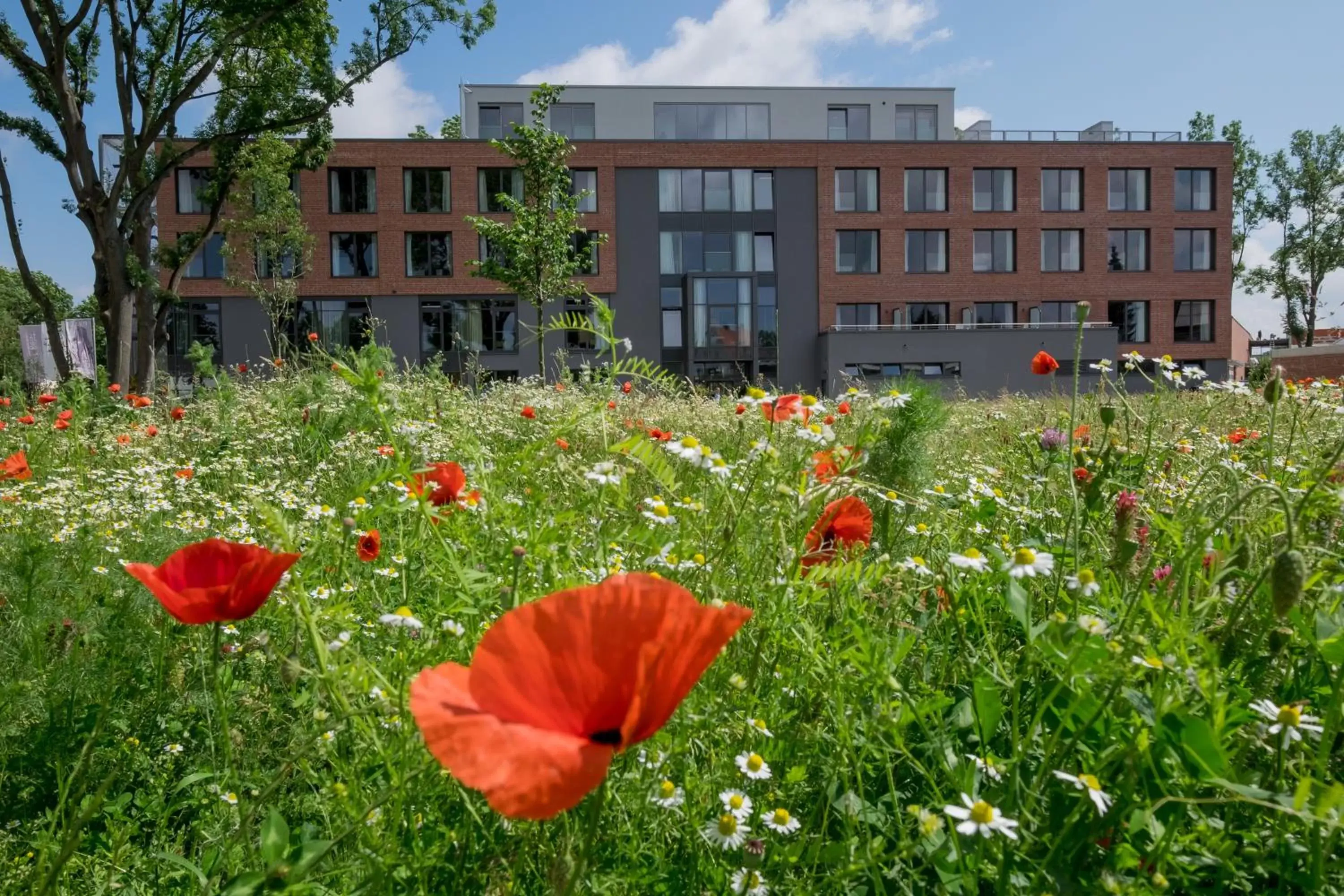 Property Building in Hotel FREIgeist Einbeck BW Signature Collection