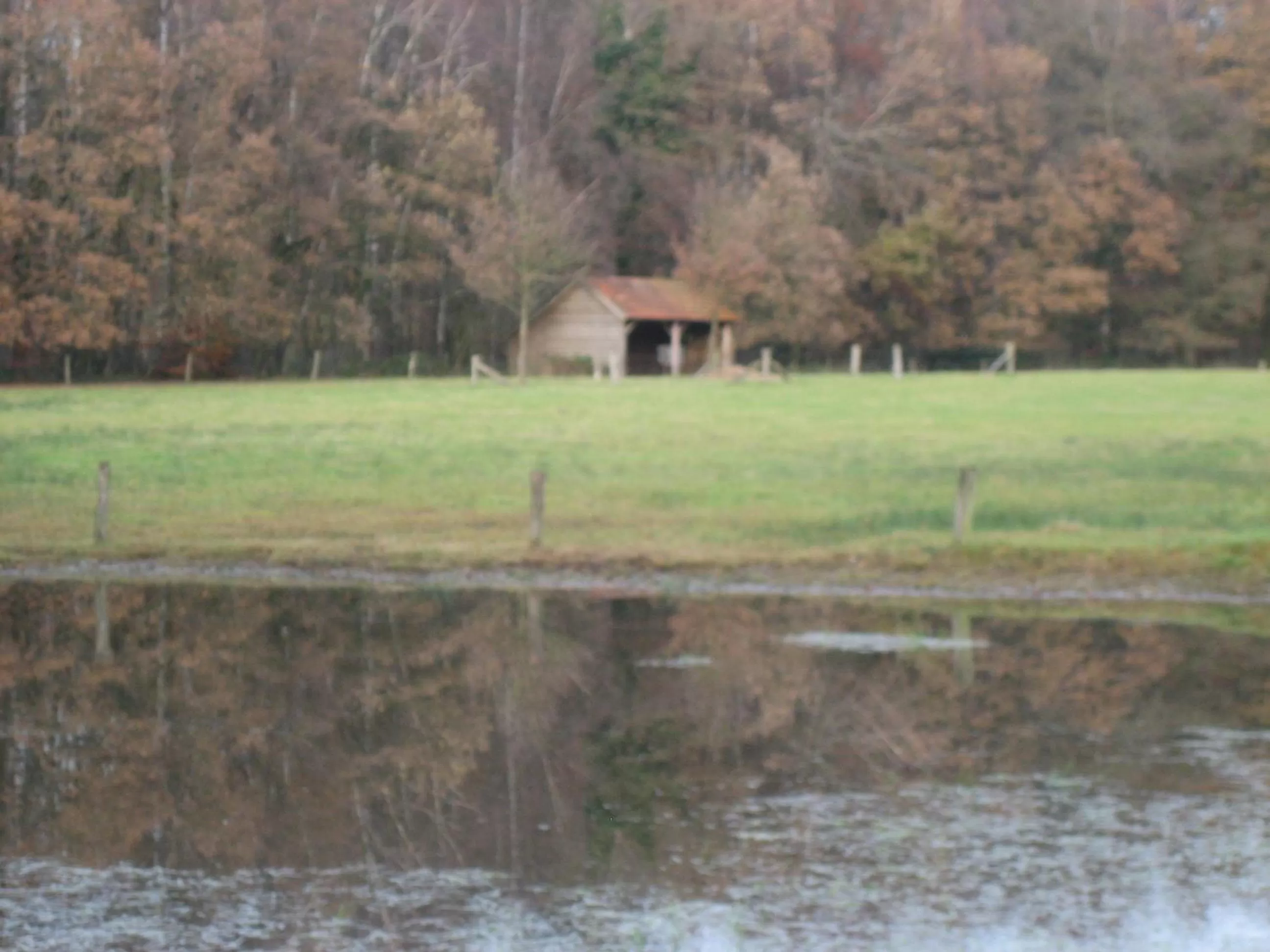 Natural landscape in Hotel Het Landhuis
