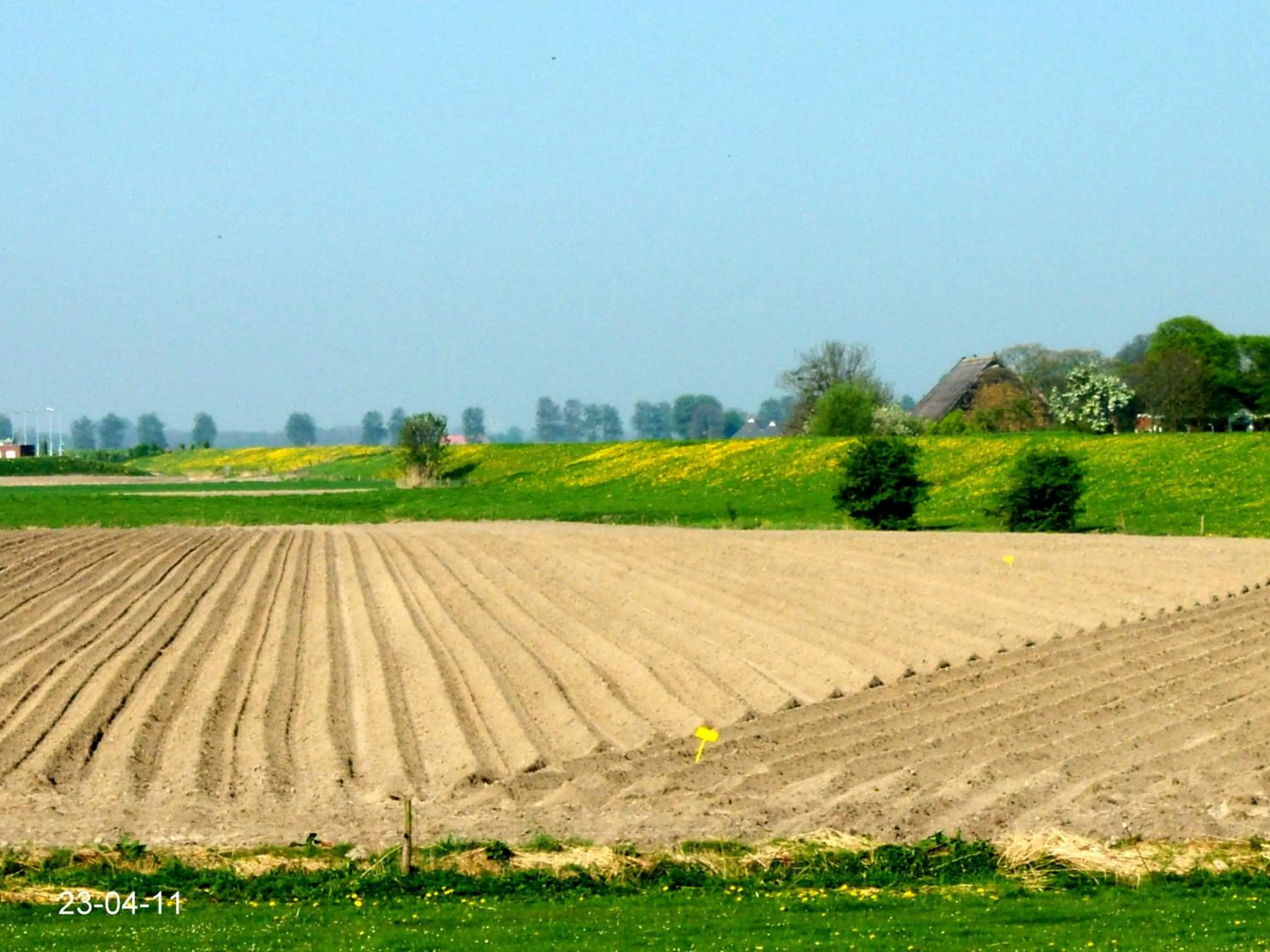 Spring in de Twee Paardjes