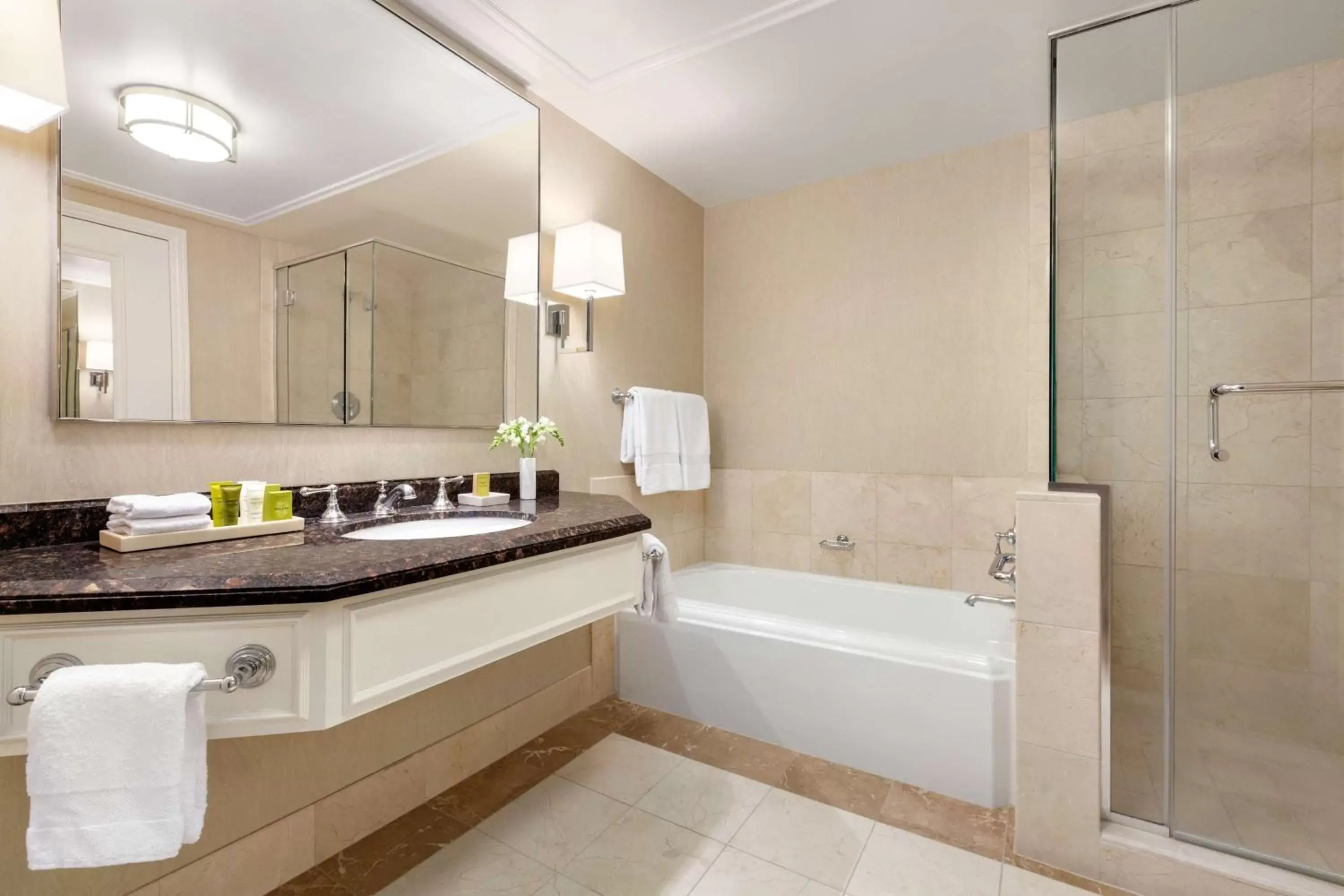 Bathroom in Signia by Hilton San Jose