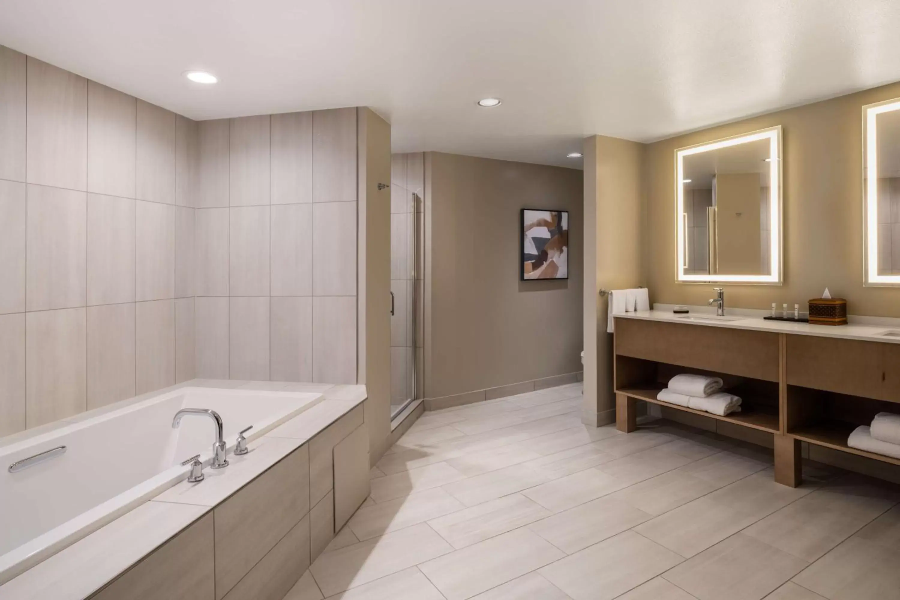 Bathroom in Embassy Suites by Hilton Albuquerque