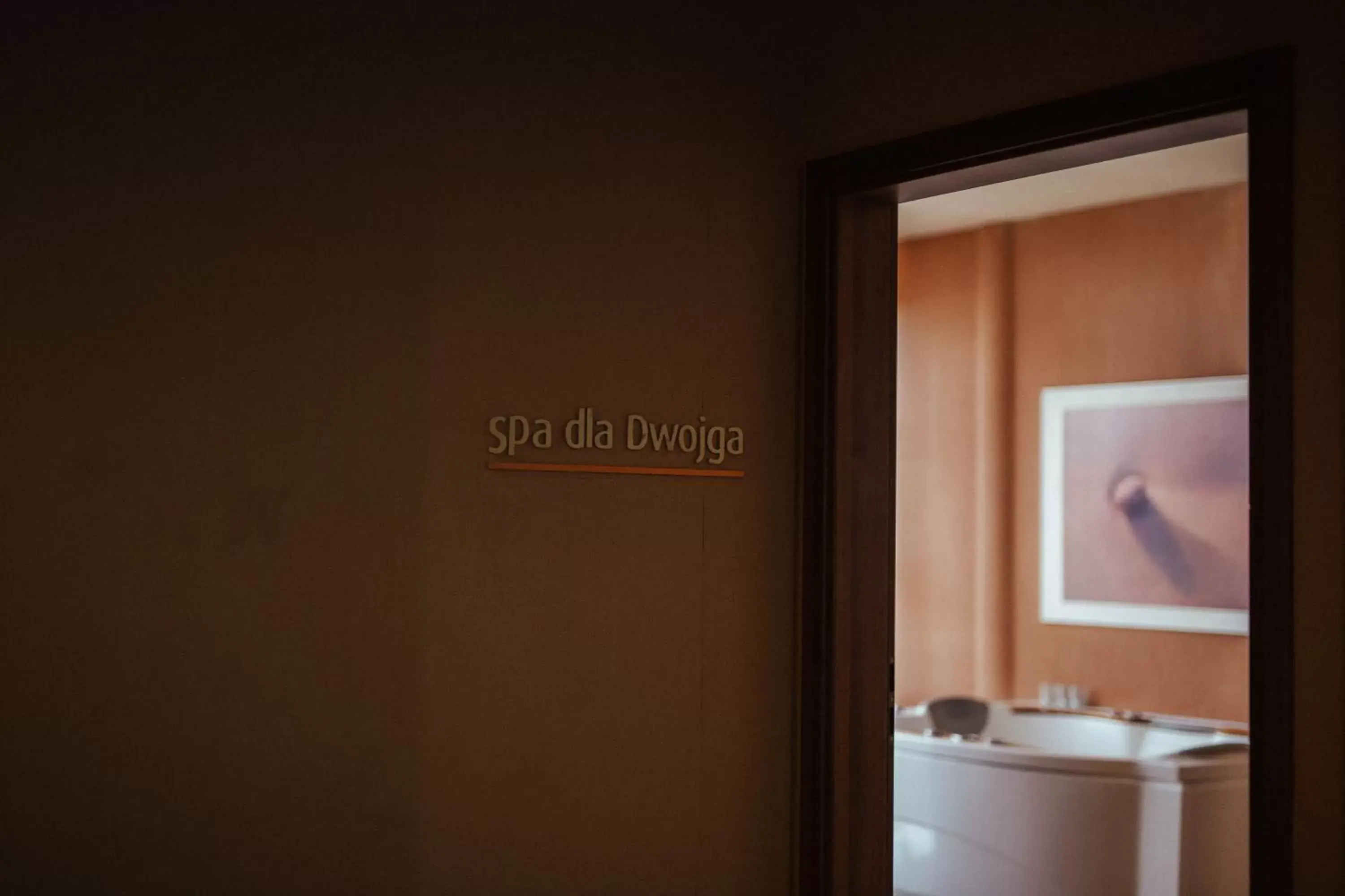 Spa and wellness centre/facilities in Hotel Diva SPA