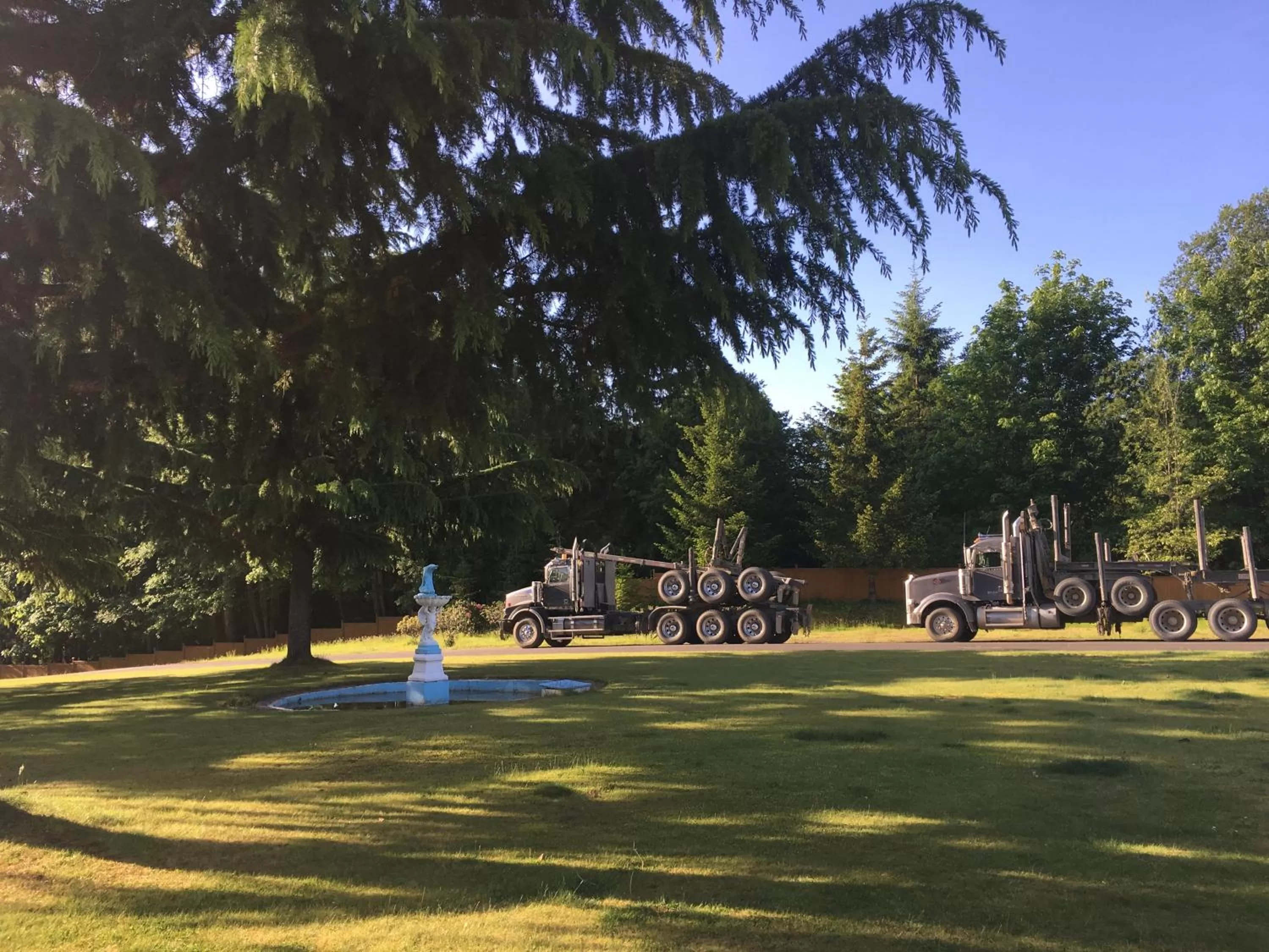 Garden view in Fuller Lake Chemainus Motel