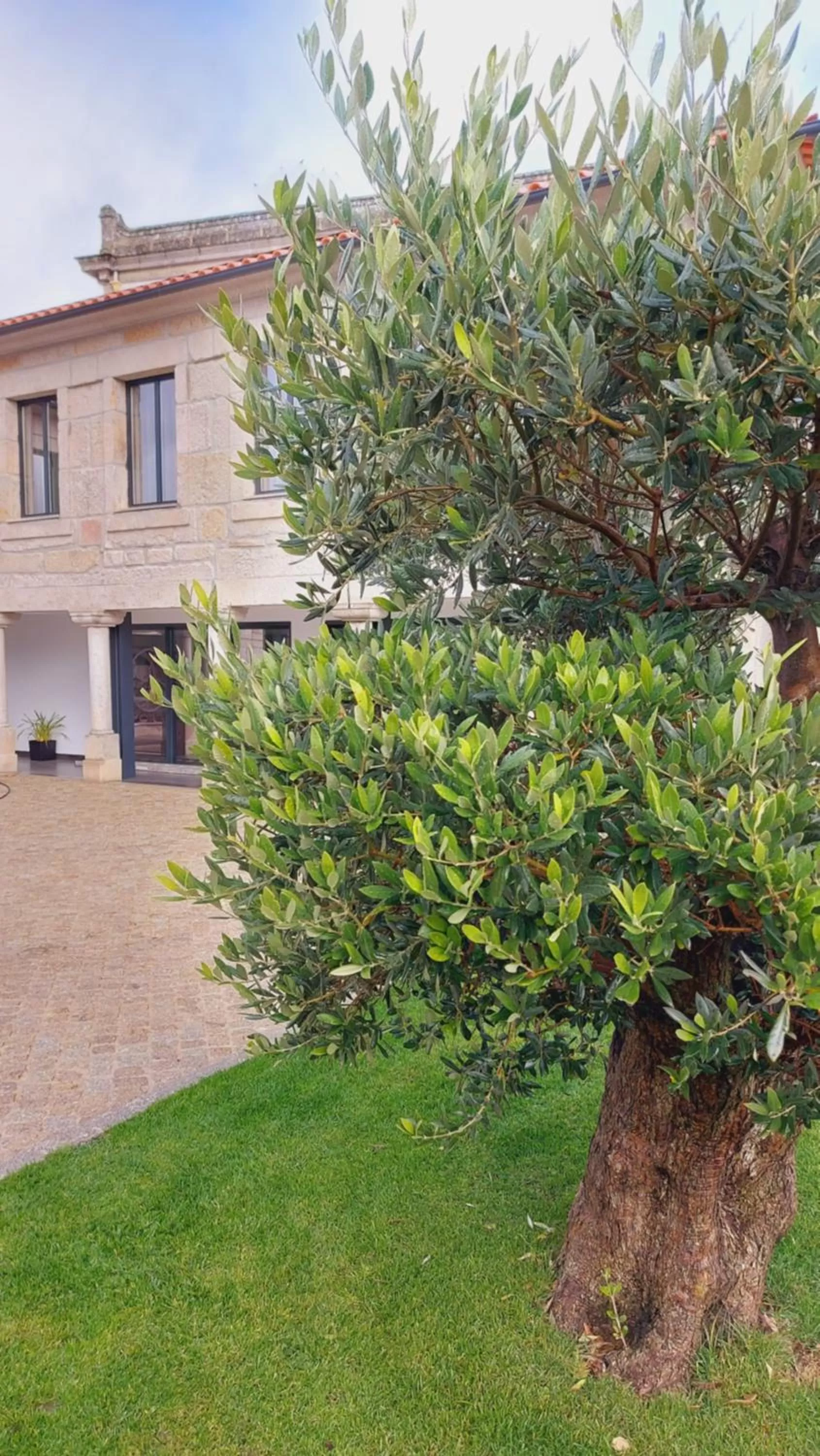 Property building in Casa da Torre - Viseu