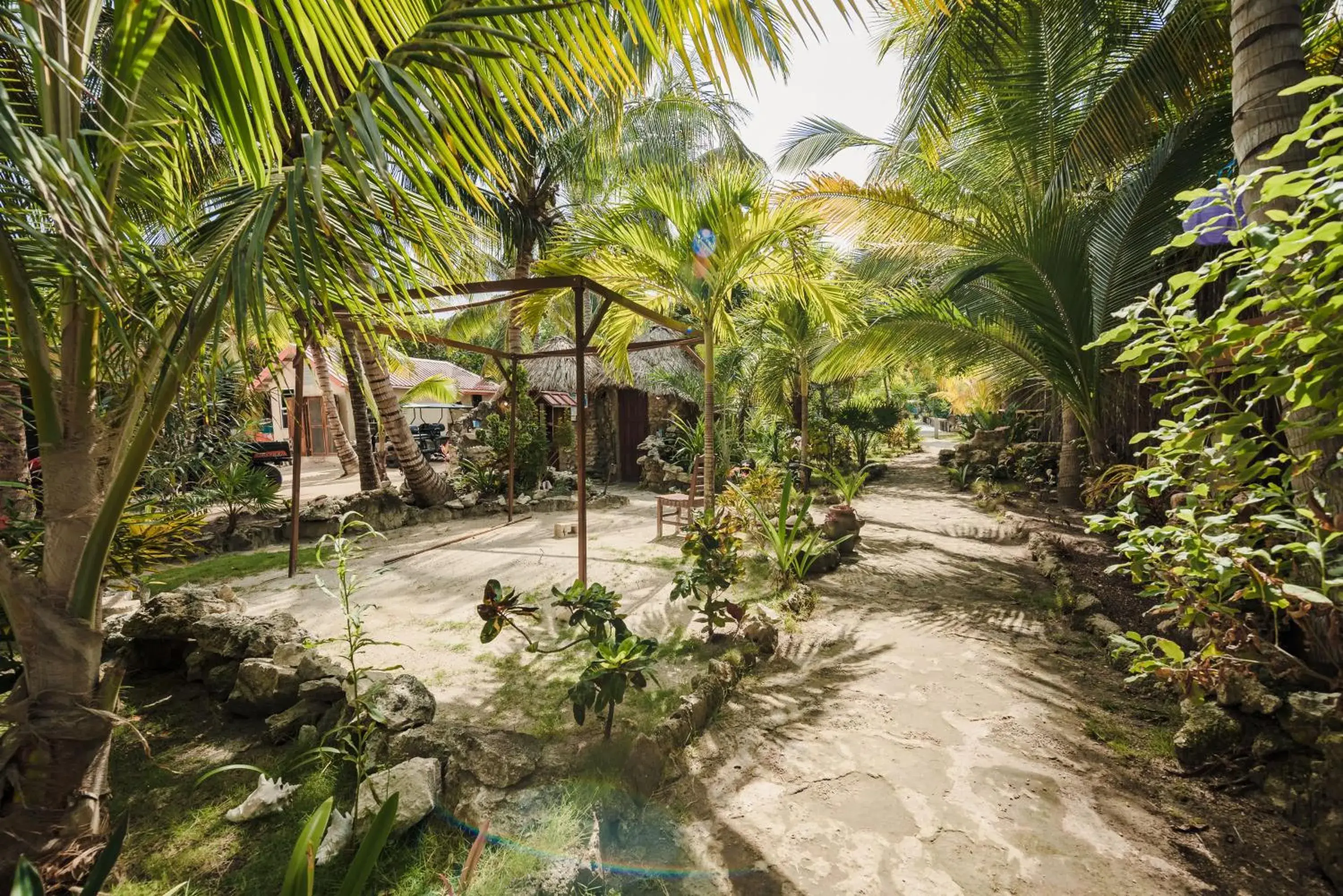 Garden view in Bella Vista Resort Belize