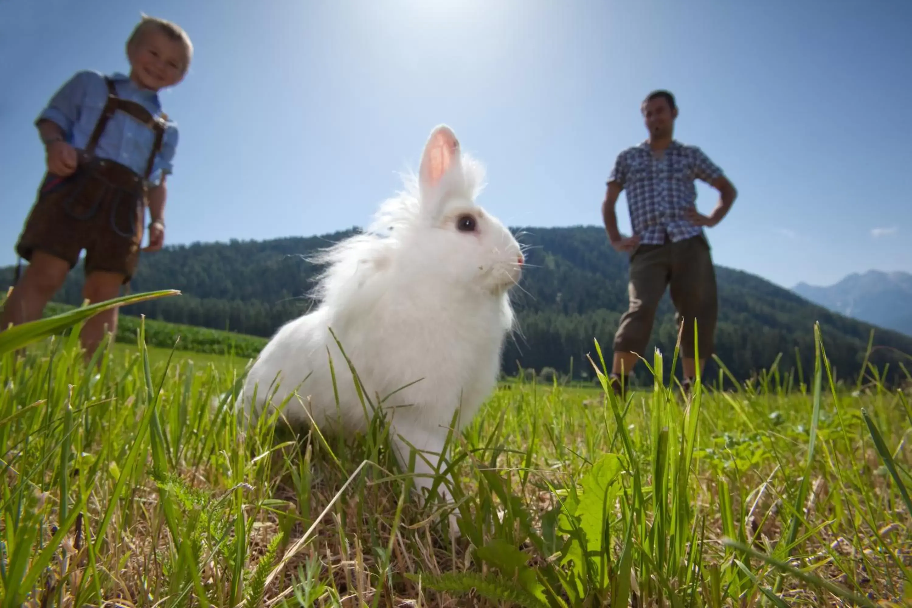 People, Pets in Frida am Wald