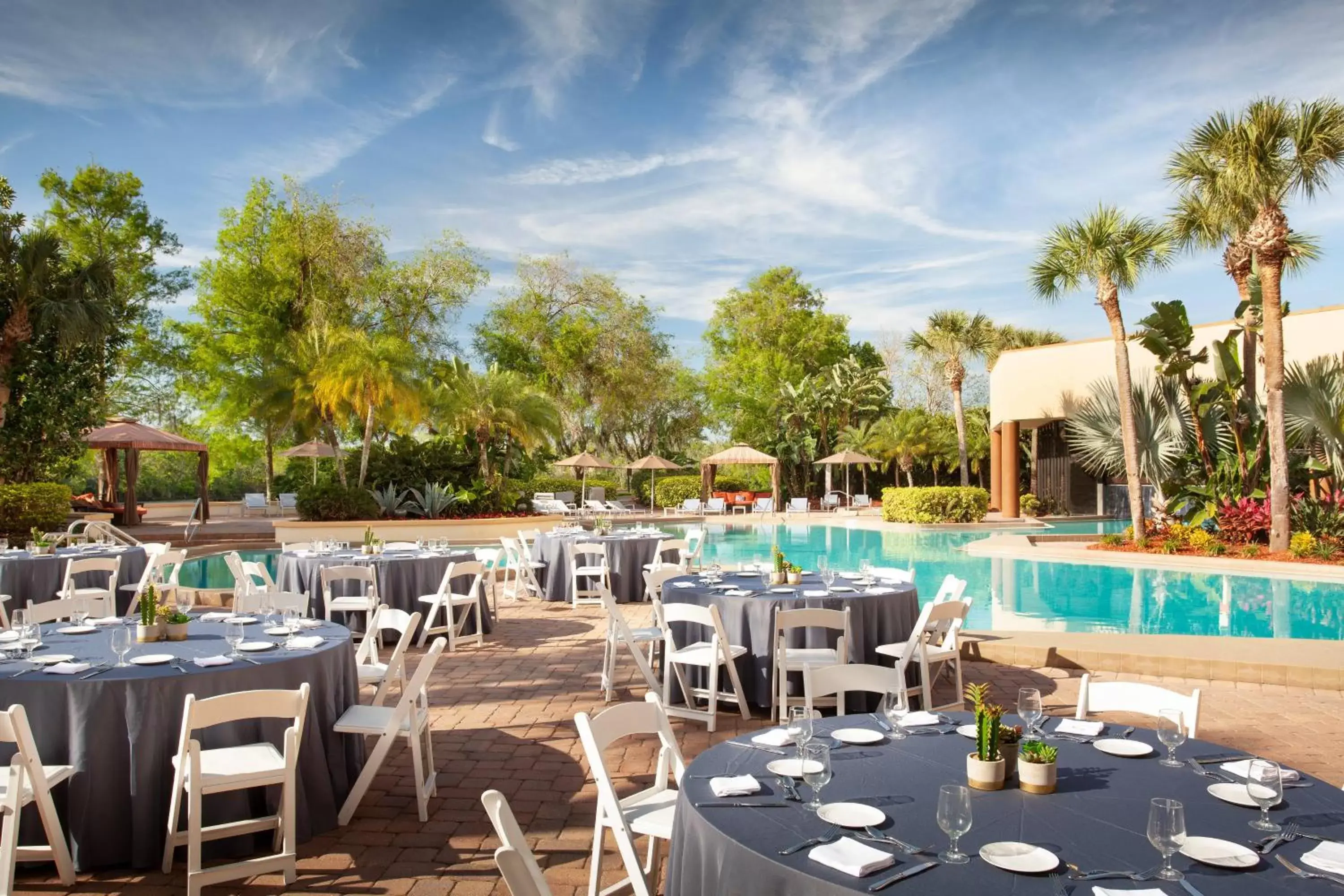 Swimming pool, Restaurant/Places to Eat in Marriott Orlando Airport Lakeside