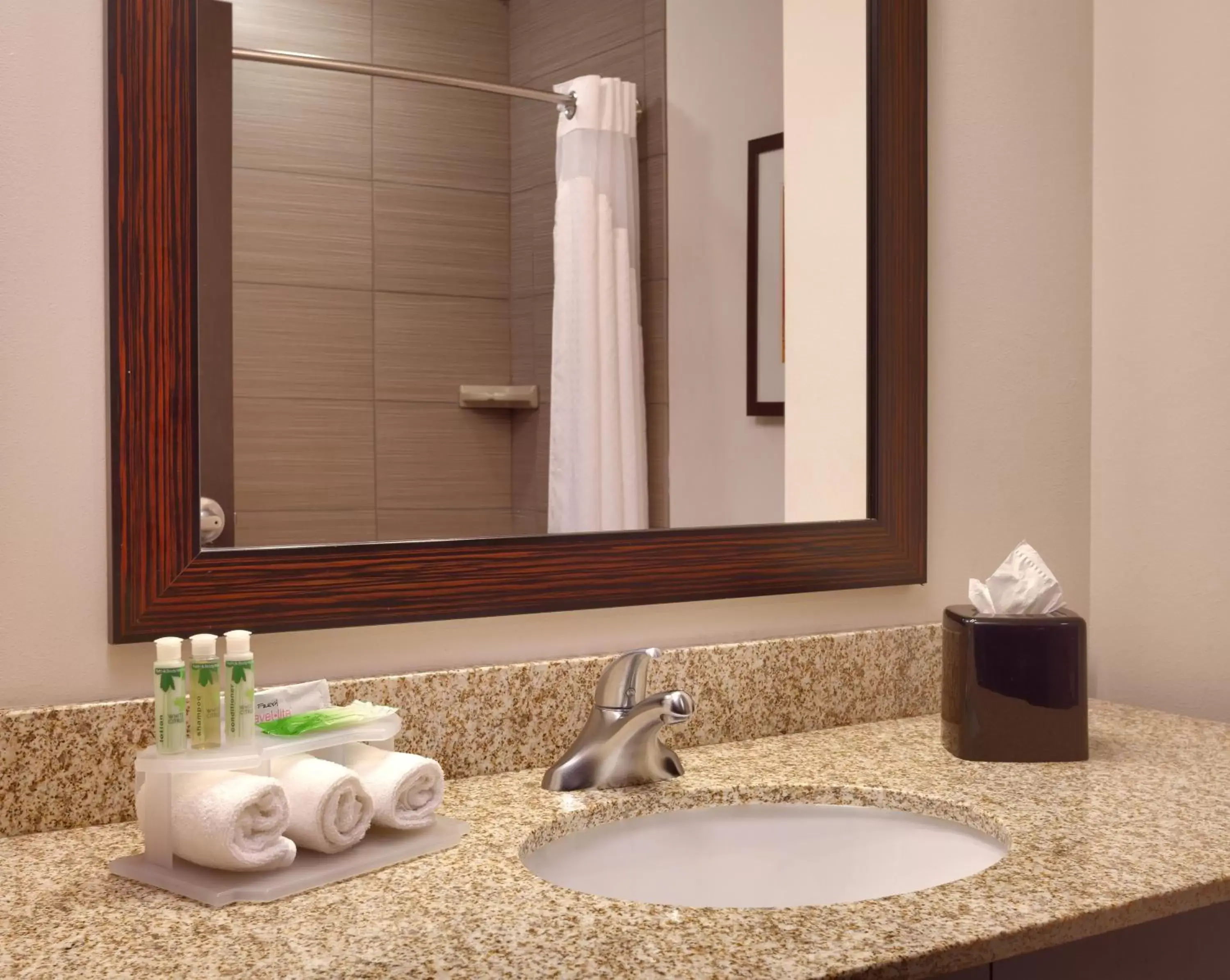 Bathroom in Holiday Inn Express & Suites Overland Park, an IHG Hotel