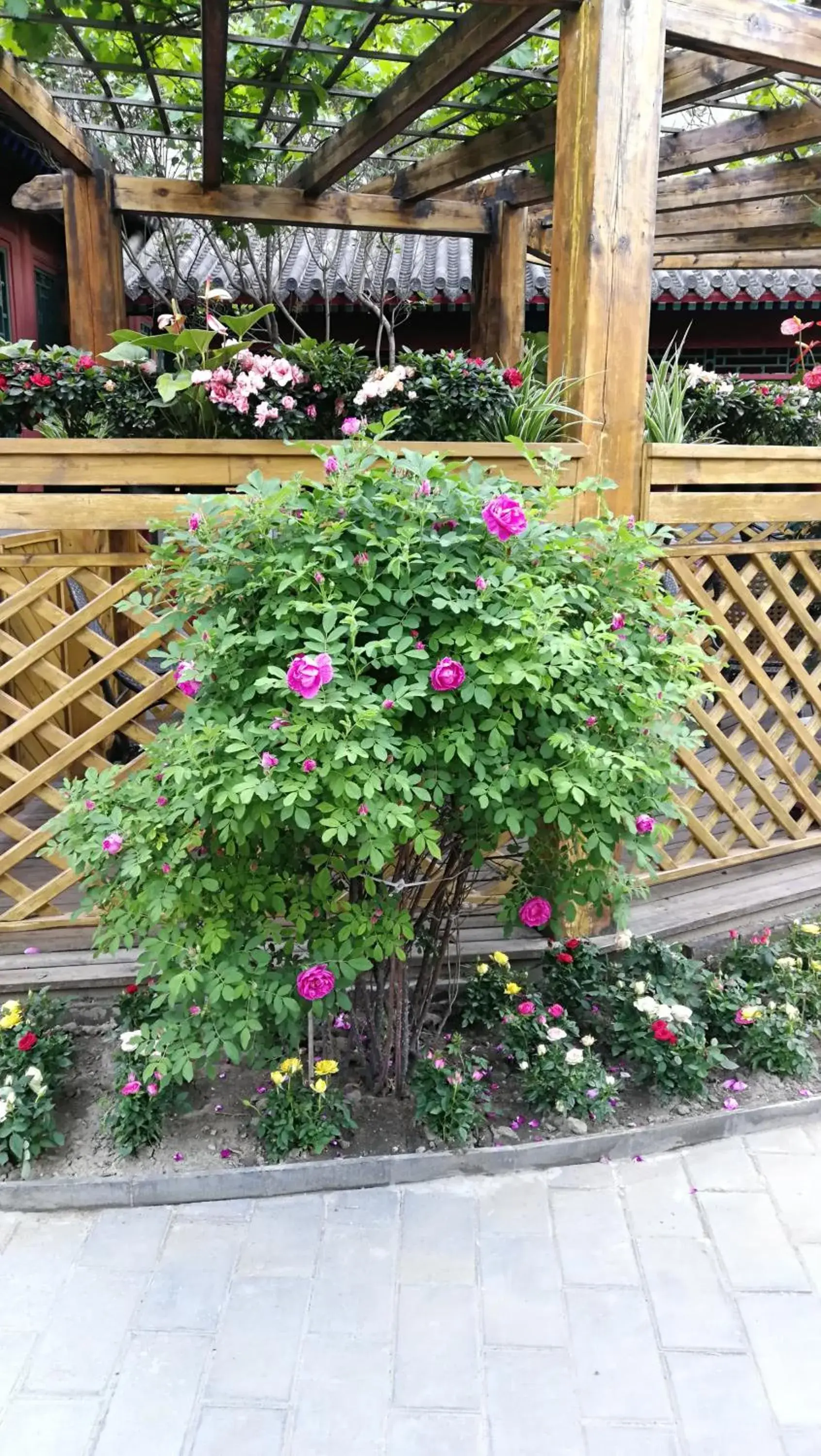 Garden in Beijing Jingyuan Courtyard Hotel