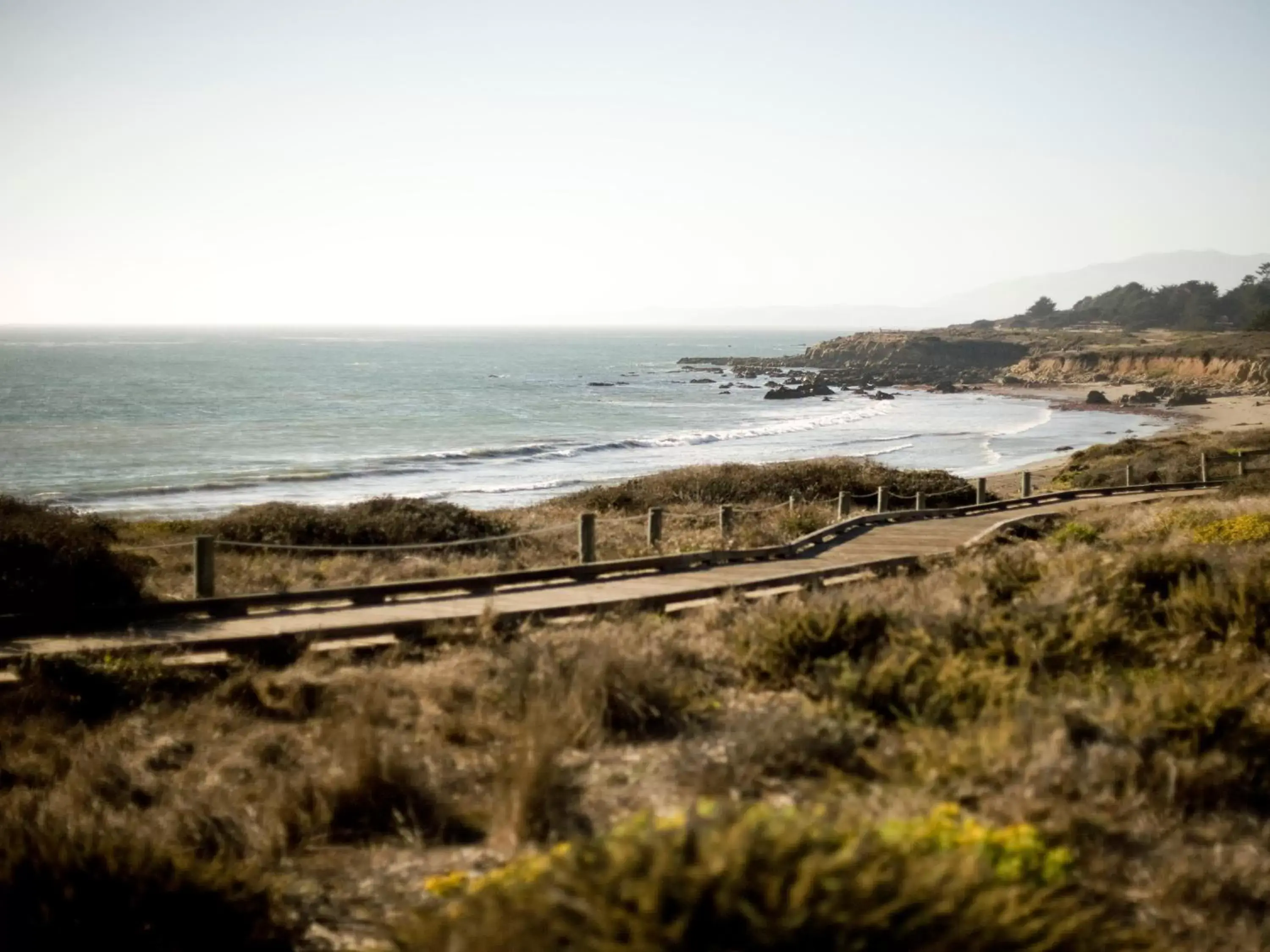 View (from property/room) in Cambria Shores Inn