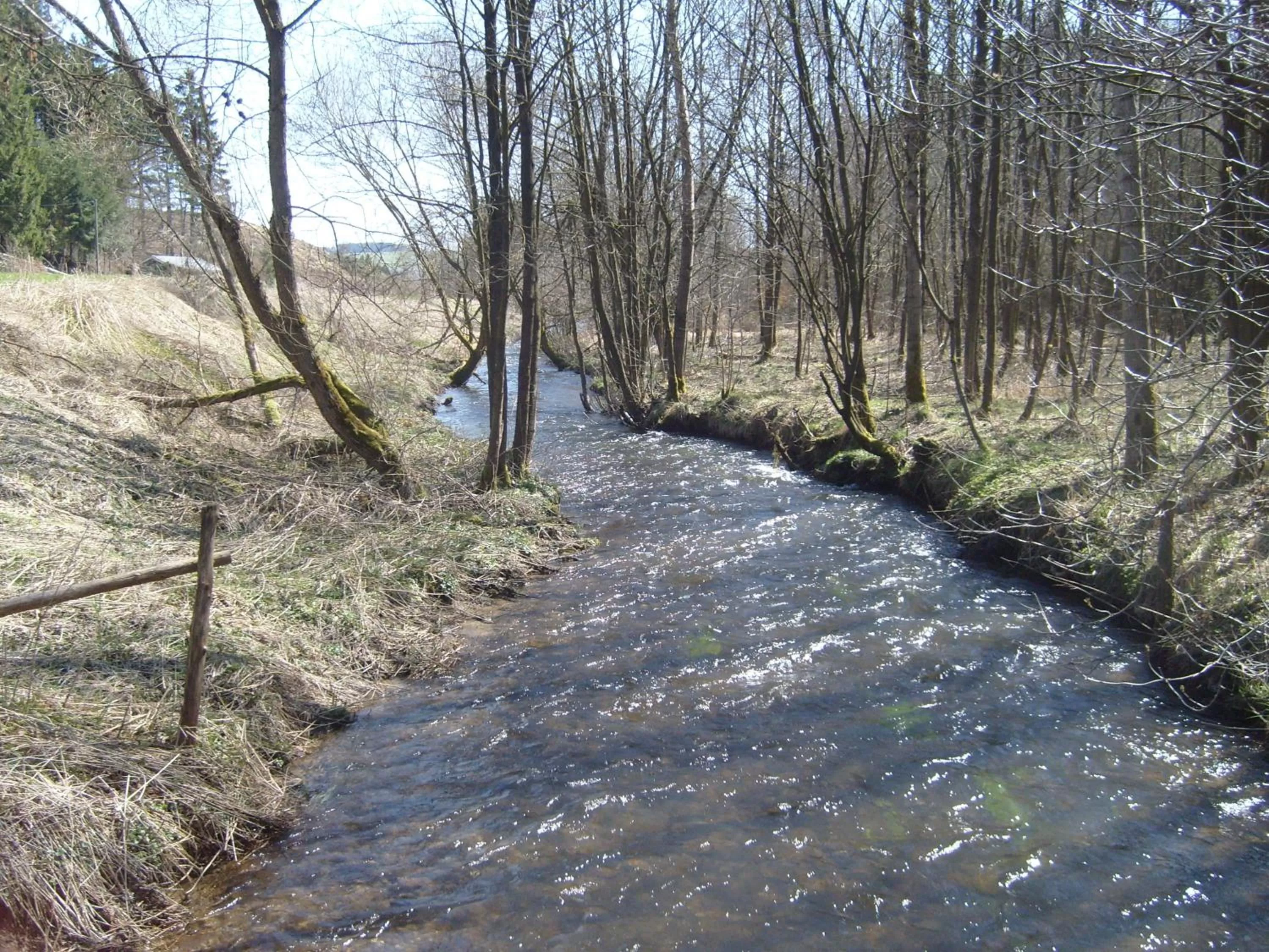 Natural landscape in B&B Willow Springs Way Station