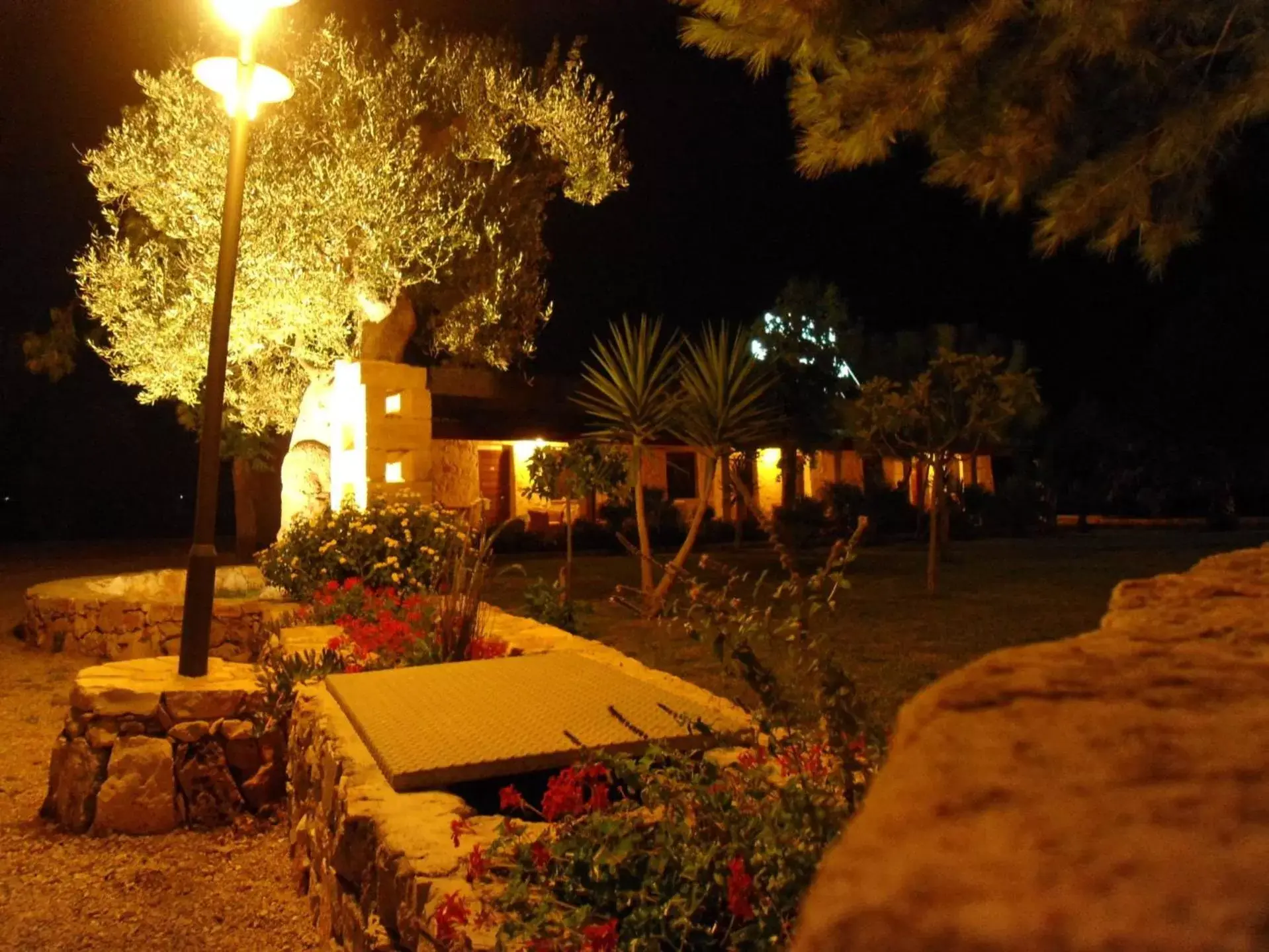 Garden, Patio/Outdoor Area in Hotel Masseria Le Pajare