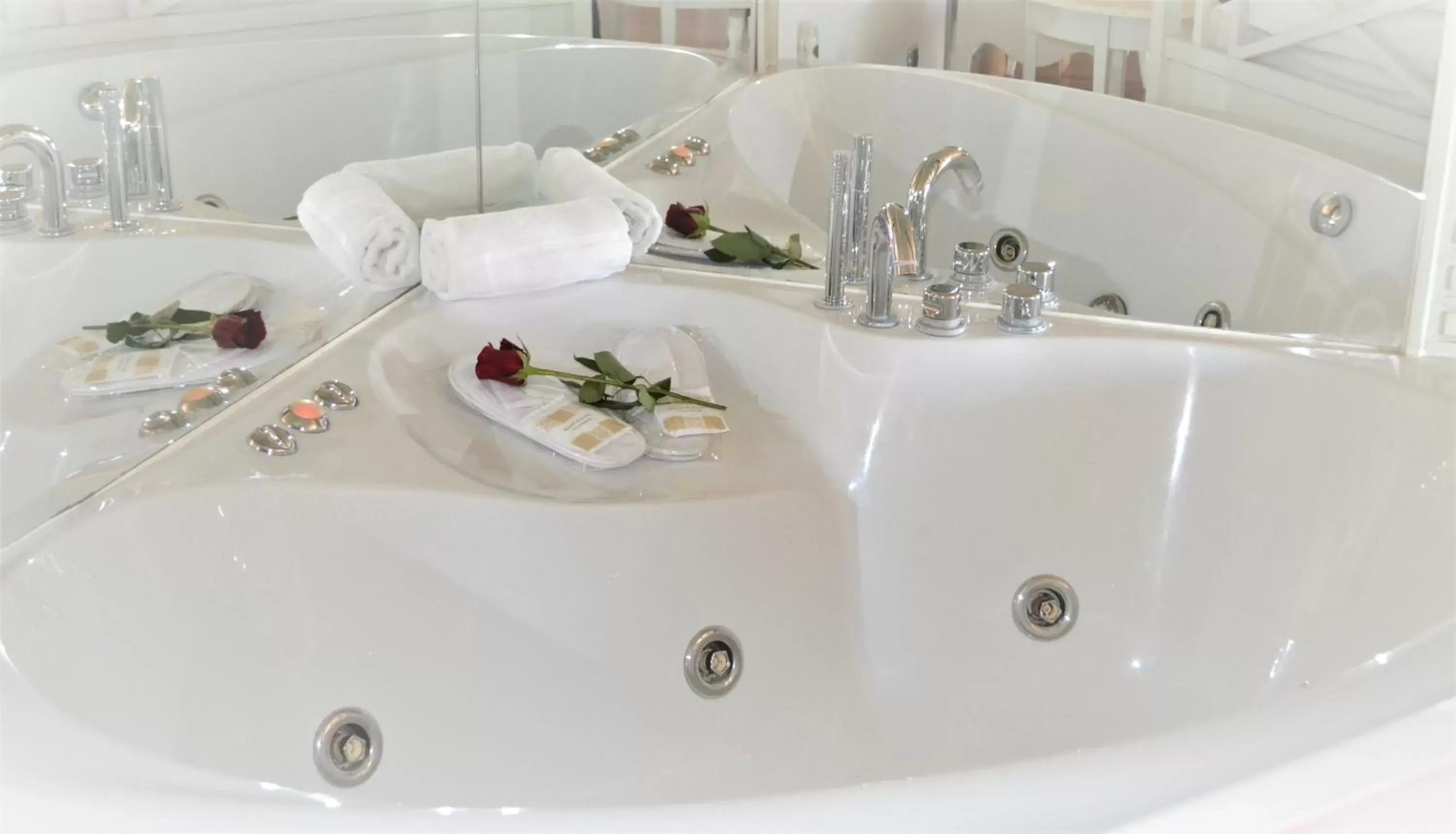 Hot Tub, Bathroom in Hotel Fiera Di Brescia