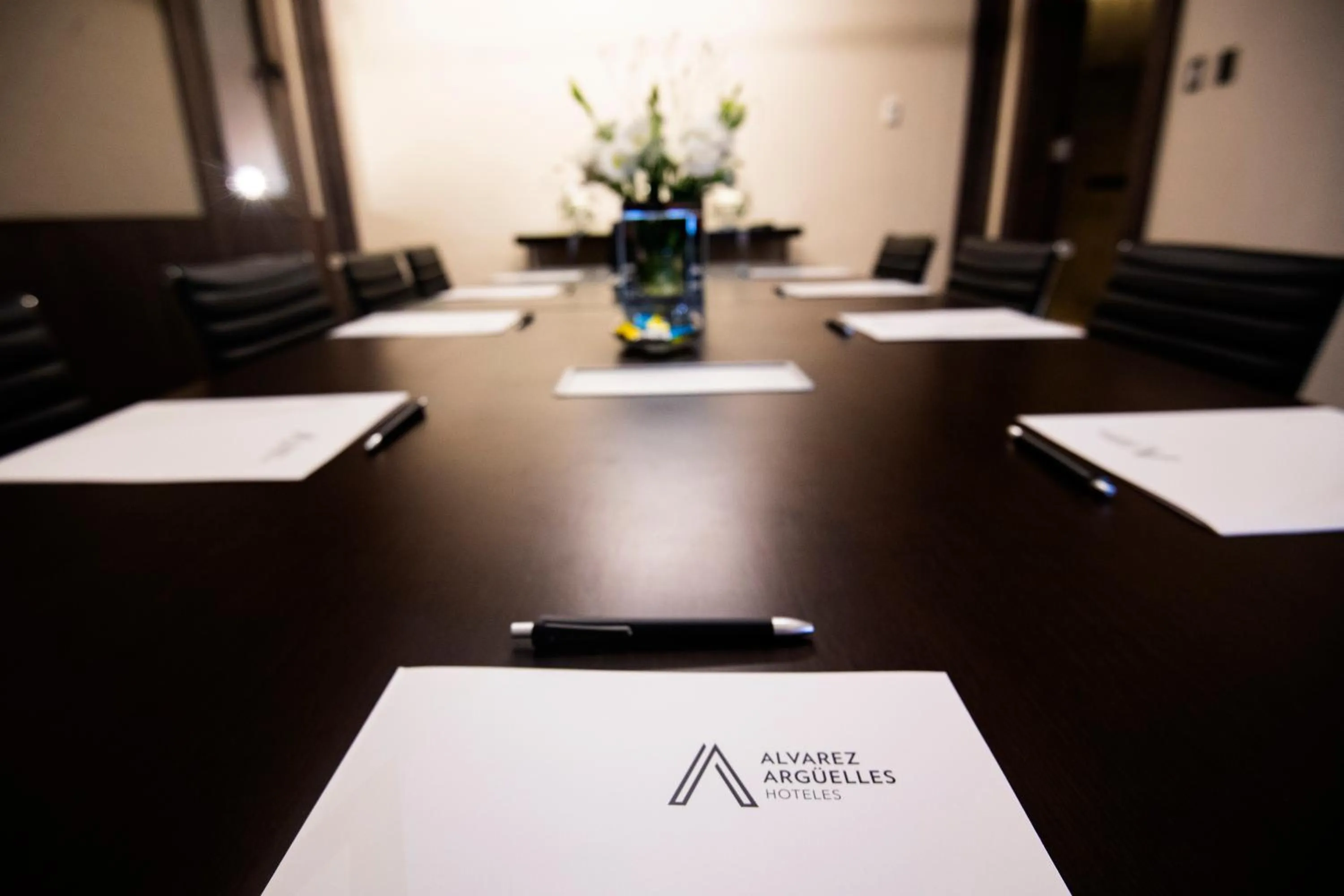 Business facilities in Grand Brizo La Plata