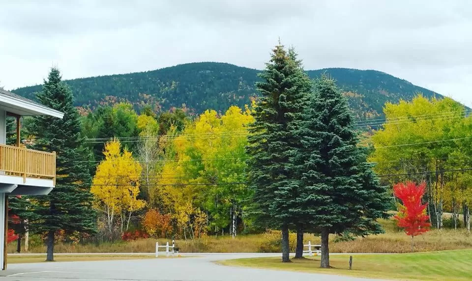 Property building in Spillover Motel and Inn