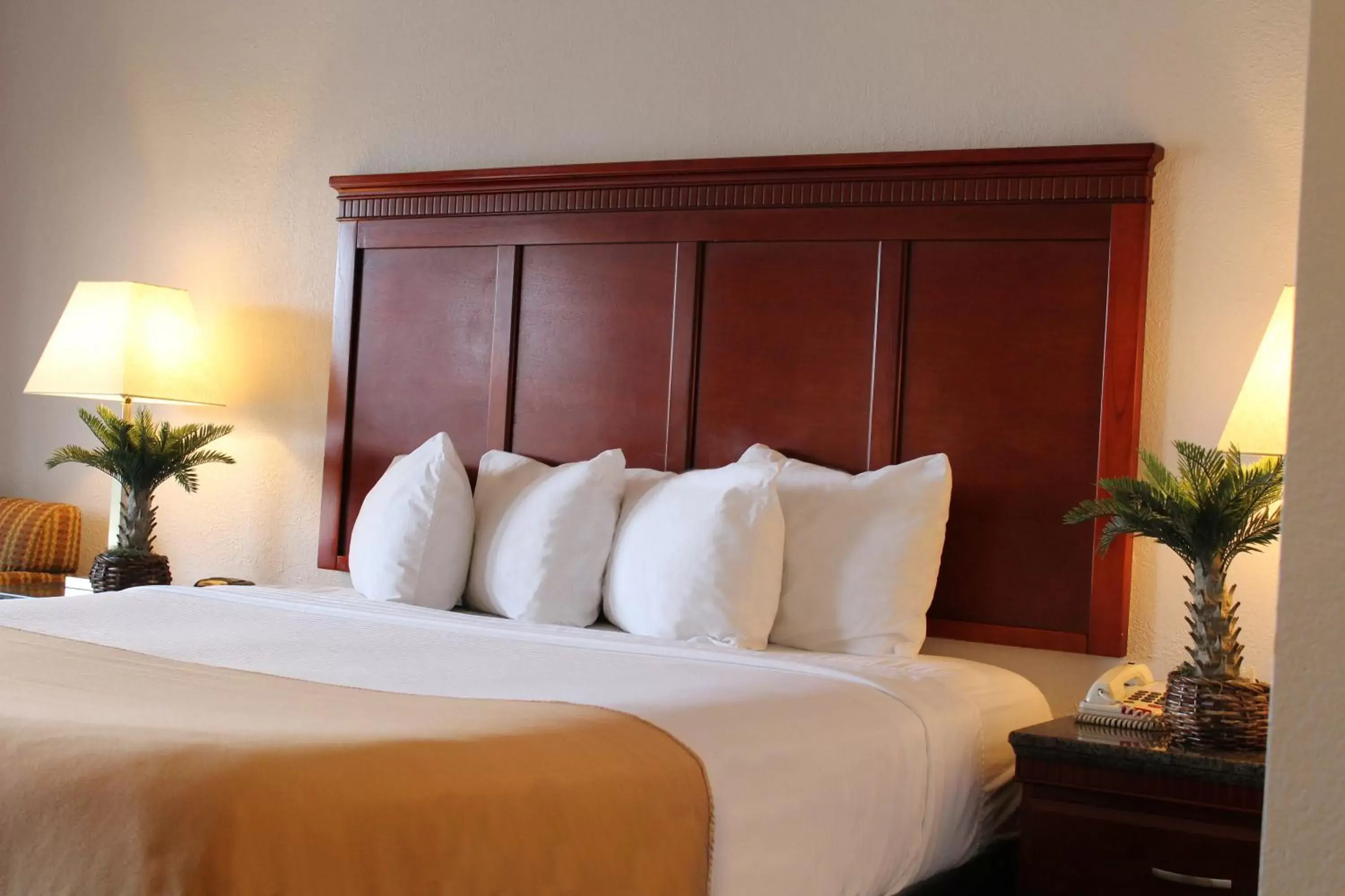 Bed in Rodeway Inn Santa Clara El Camino Real Bed in Rodeway Inn Santa Clara El Camino Real