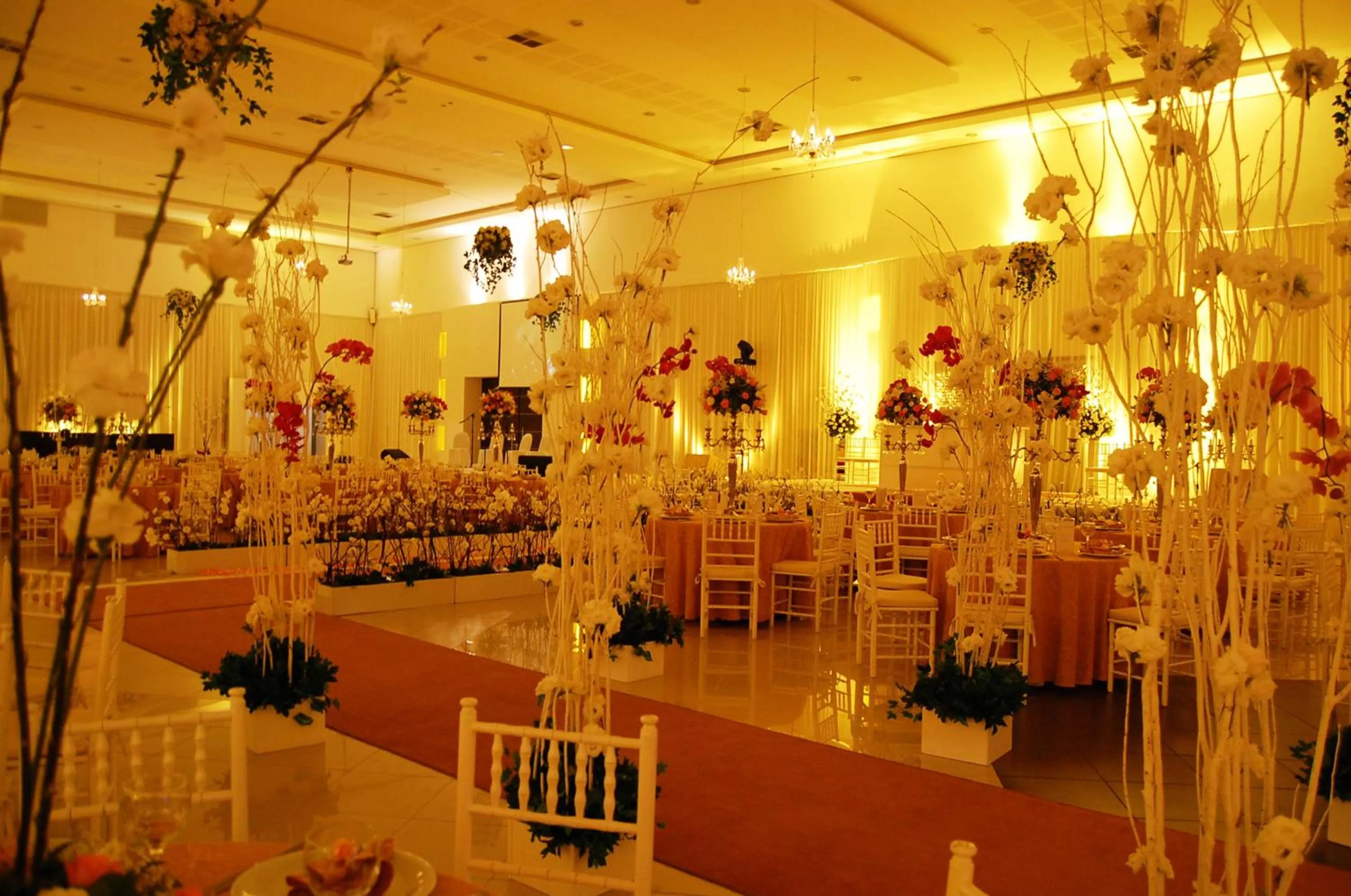 Banquet/Function facilities in Rafain Palace Hotel & Convention Center