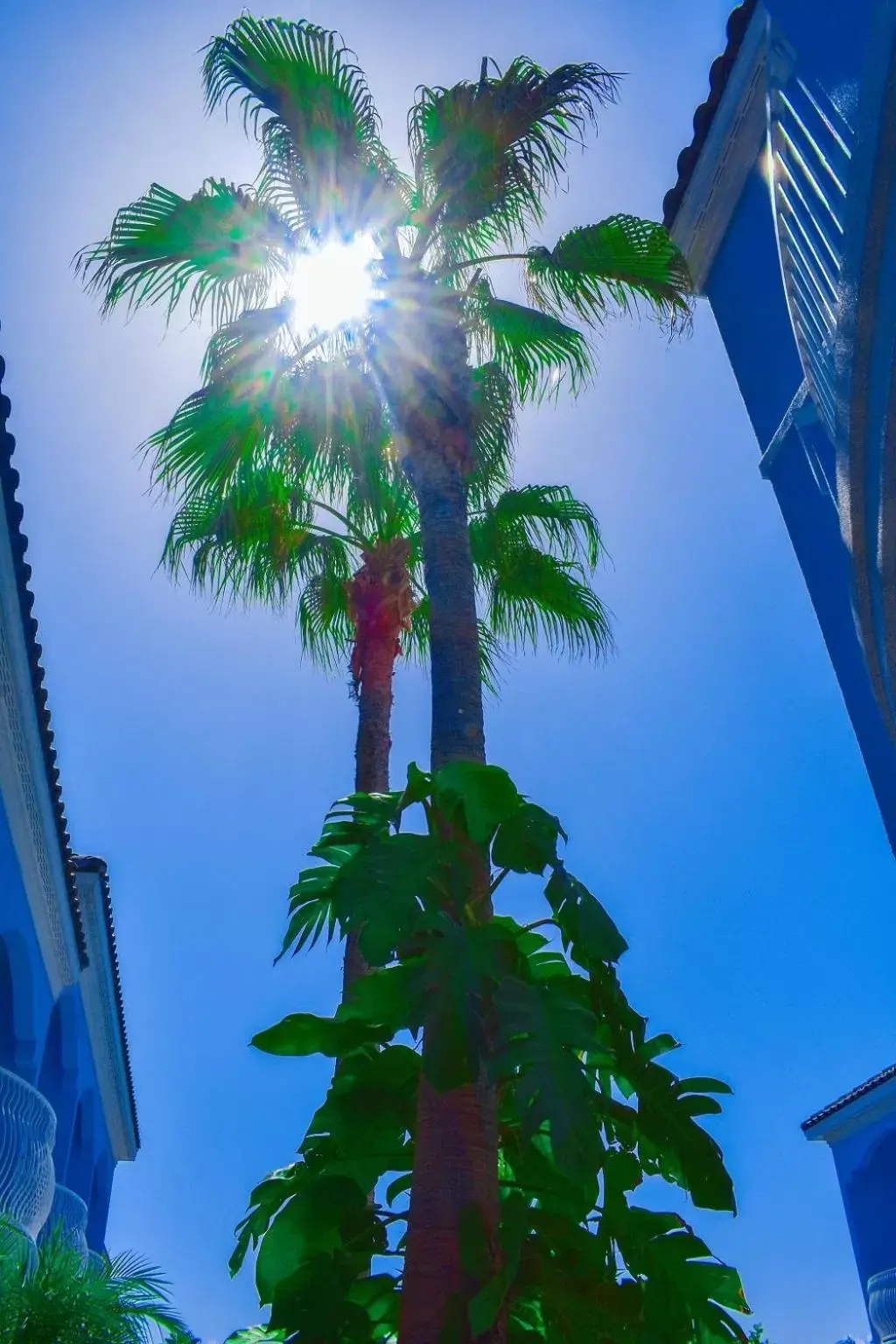 Inner courtyard view in Casa Bella Hotel and Suites