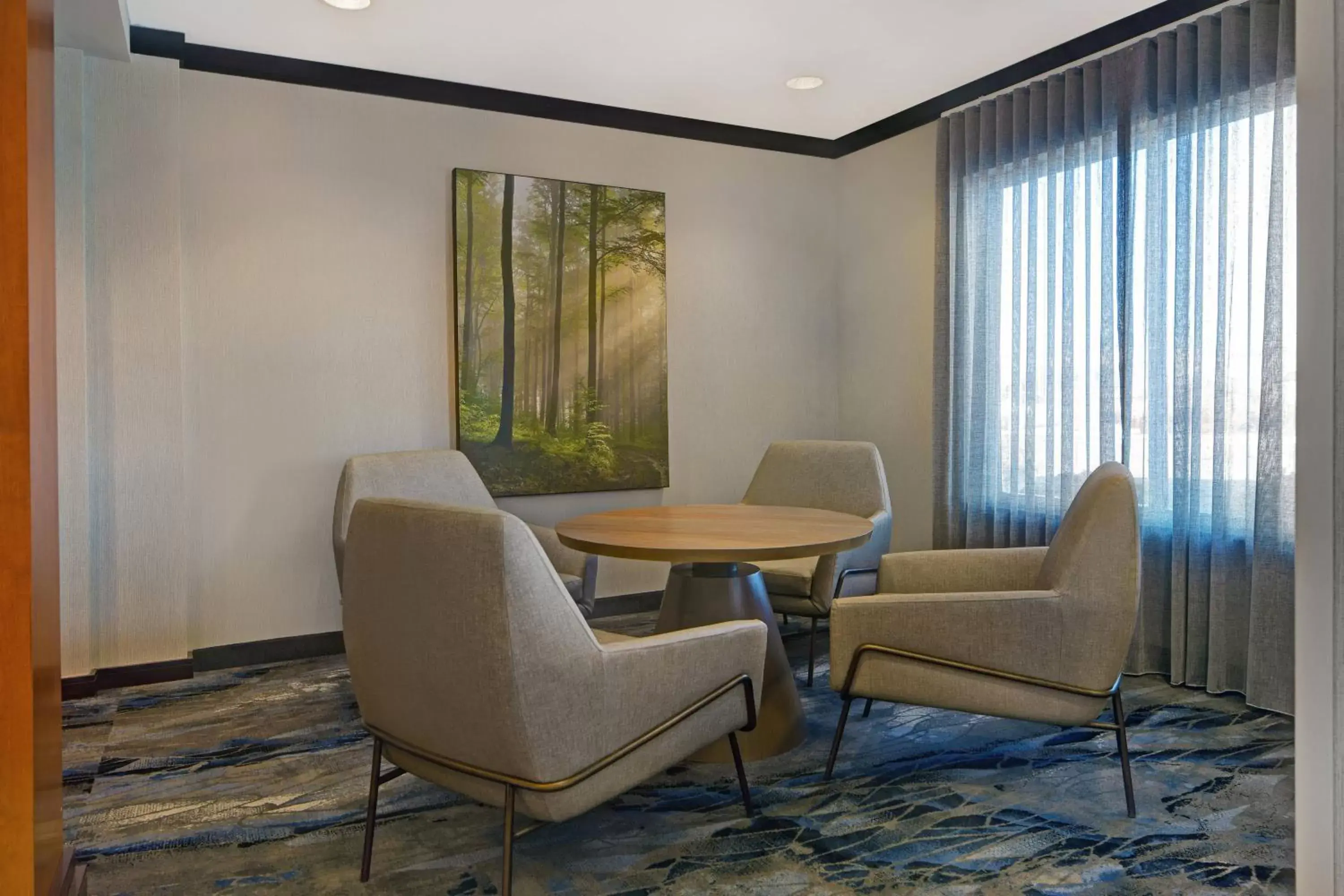 Lobby or reception, Seating Area in Fairfield Inn and Suites Carlsbad