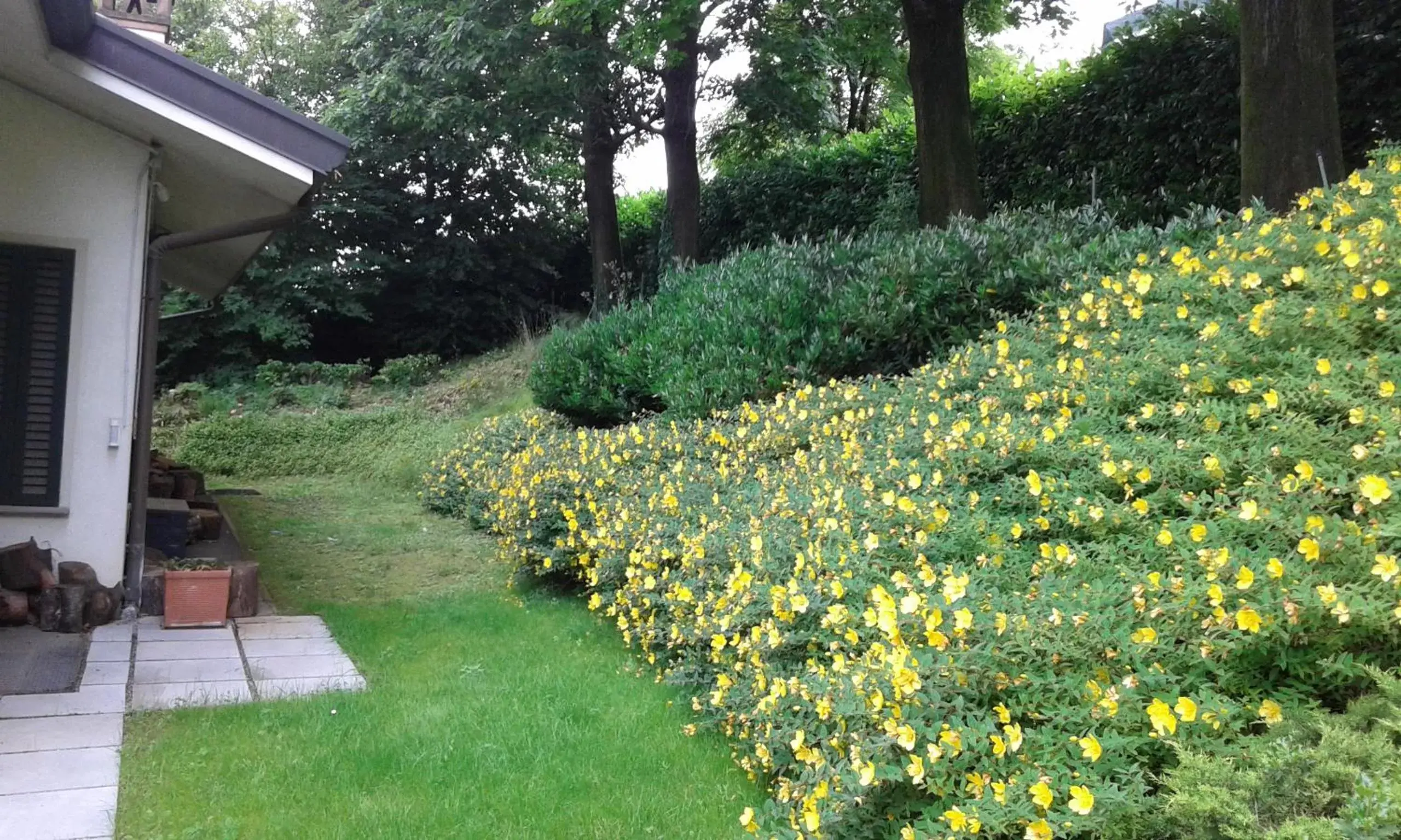 Garden view, Garden in Elleboro