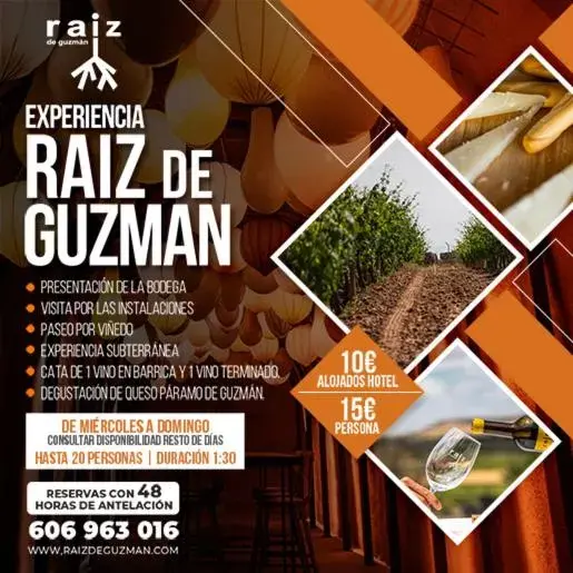Activities in Hotel Raíz