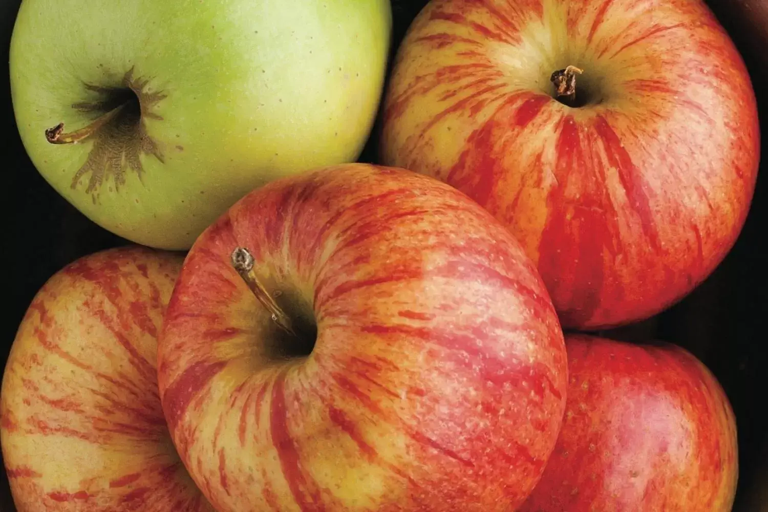 Food and drinks in Microtel Inn & Suites by Wyndham Springfield Food and drinks in Microtel Inn & Suites by Wyndham Springfield