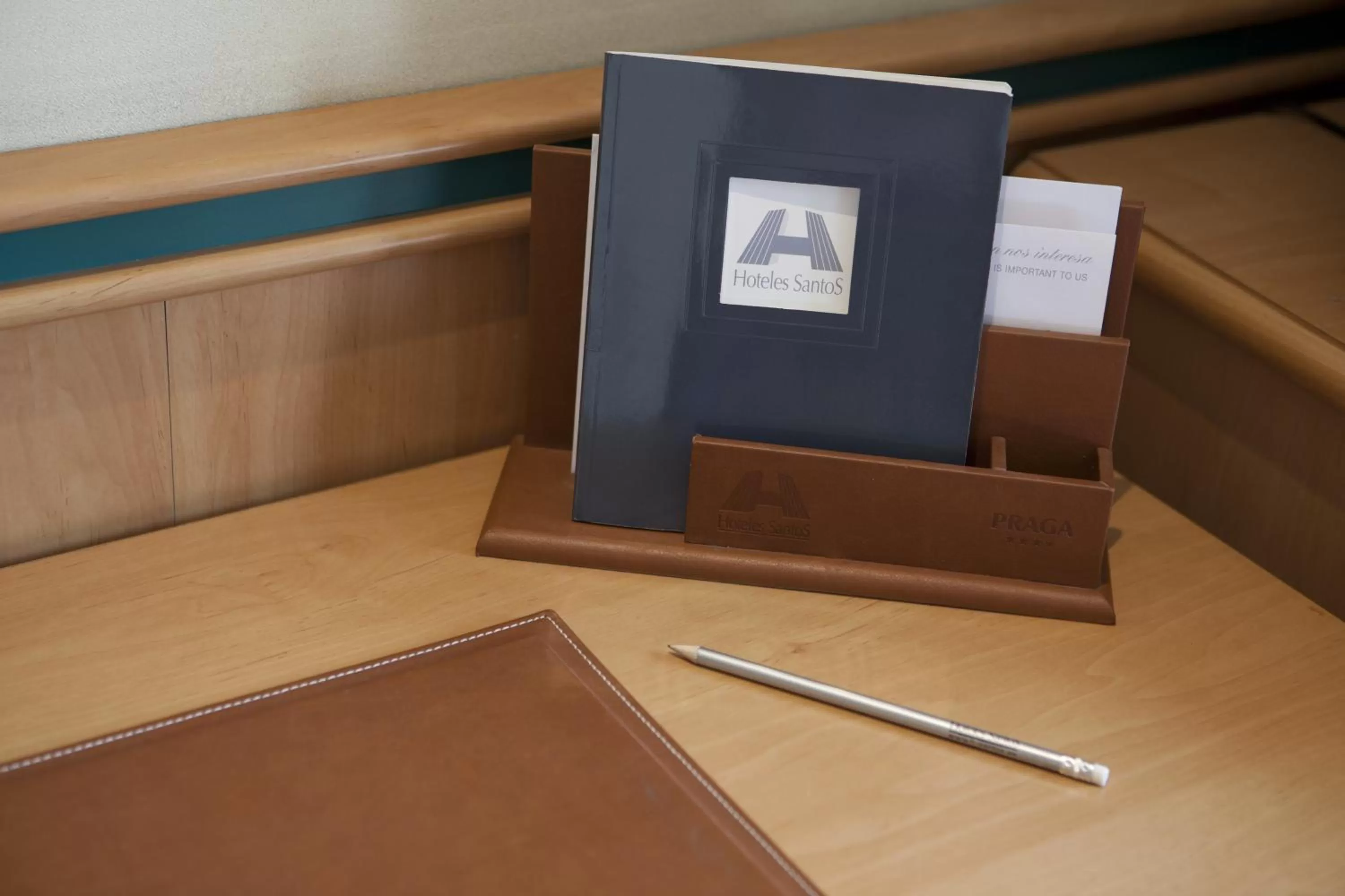 View (from property/room) in Hotel Praga