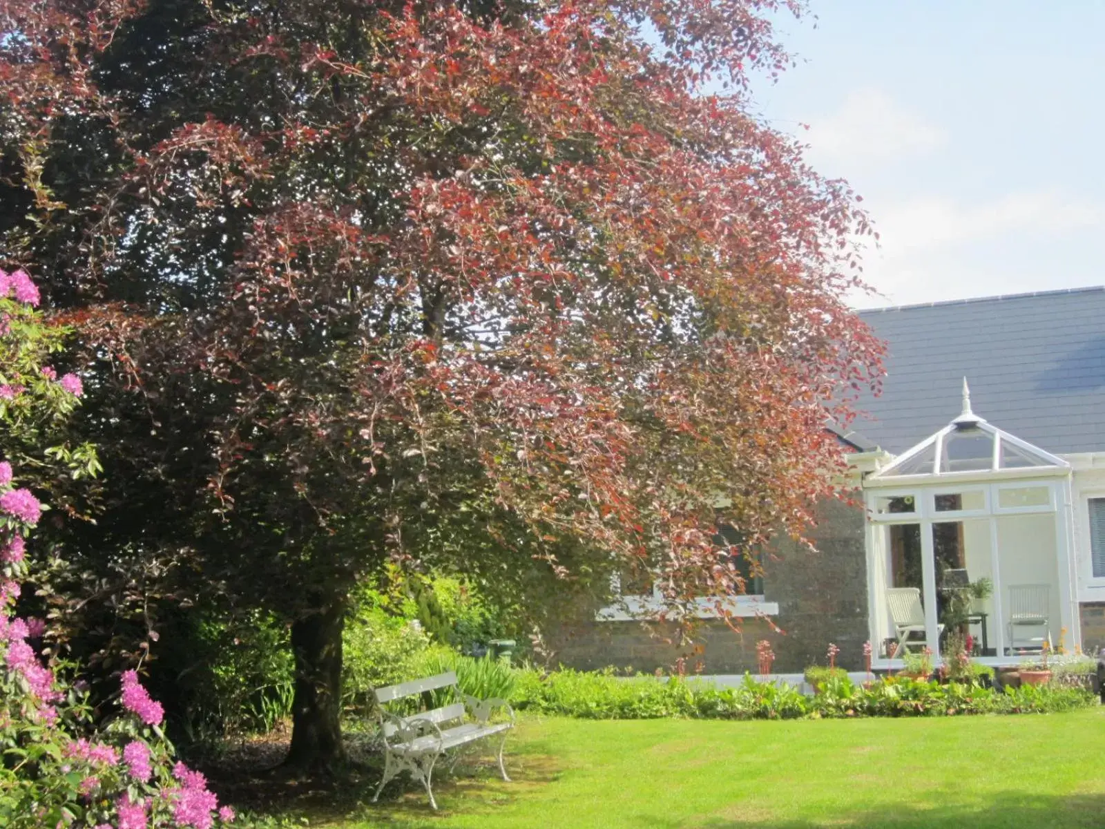 Garden in Conways B&B