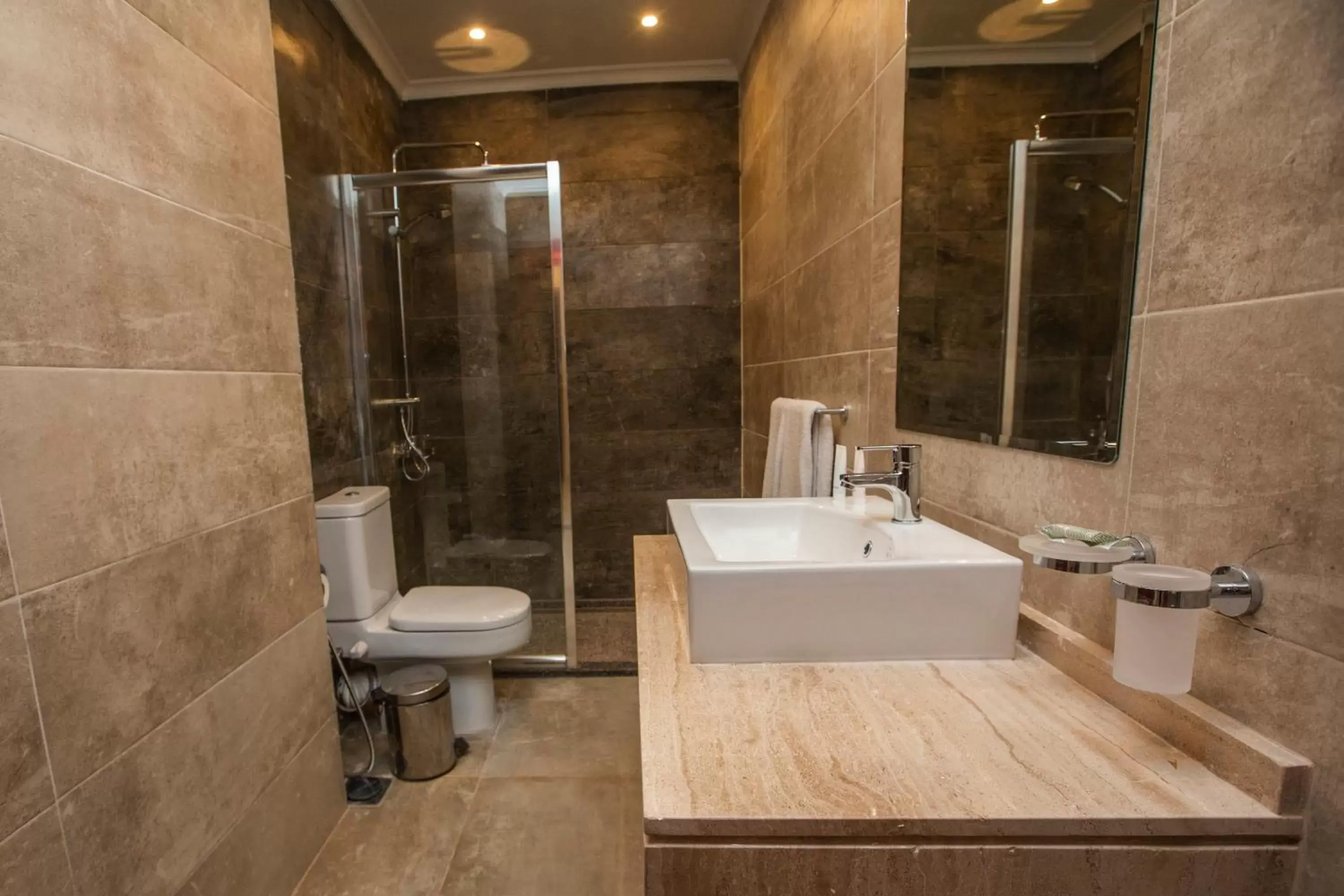 Shower, Bathroom in AIFU Hotel El Montazah Alexandria