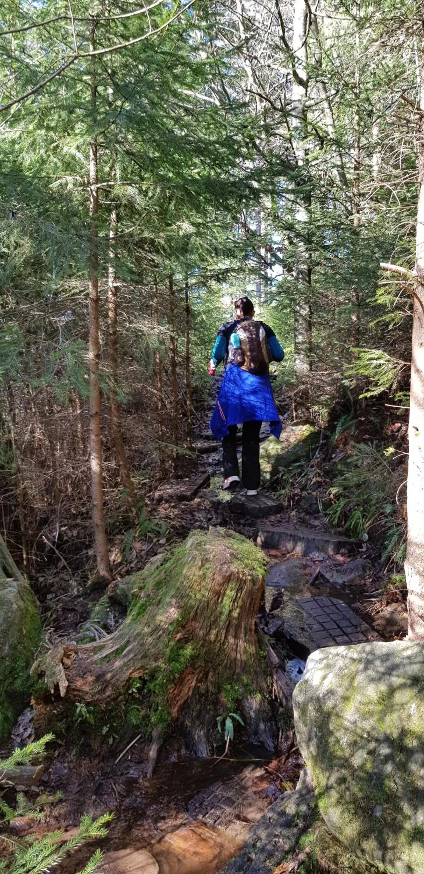 Hiking in Hotel Teuchelwald