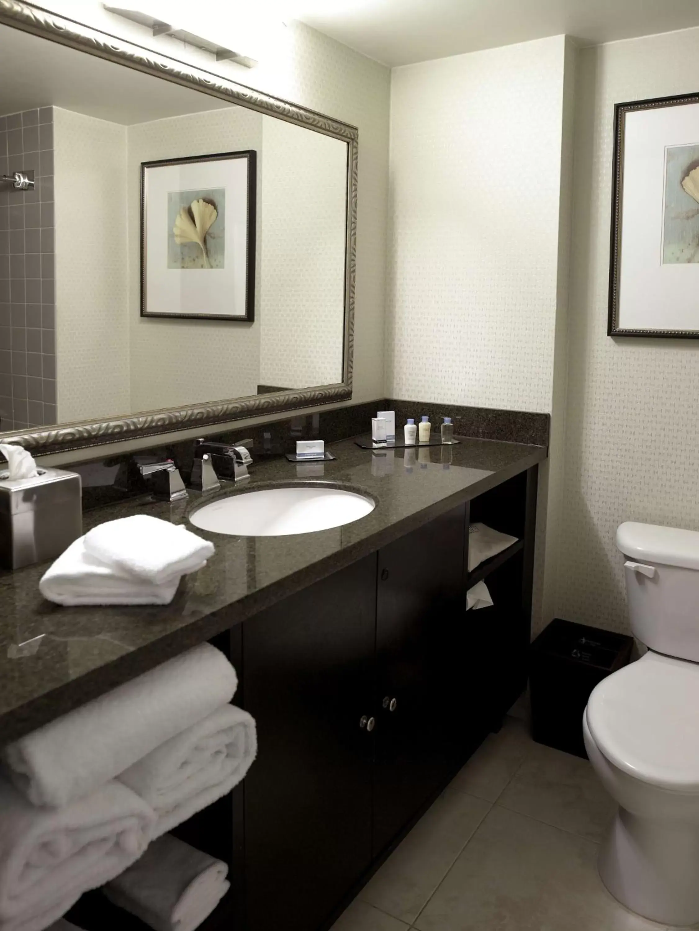Bathroom in DoubleTree by Hilton Charlotte Airport
