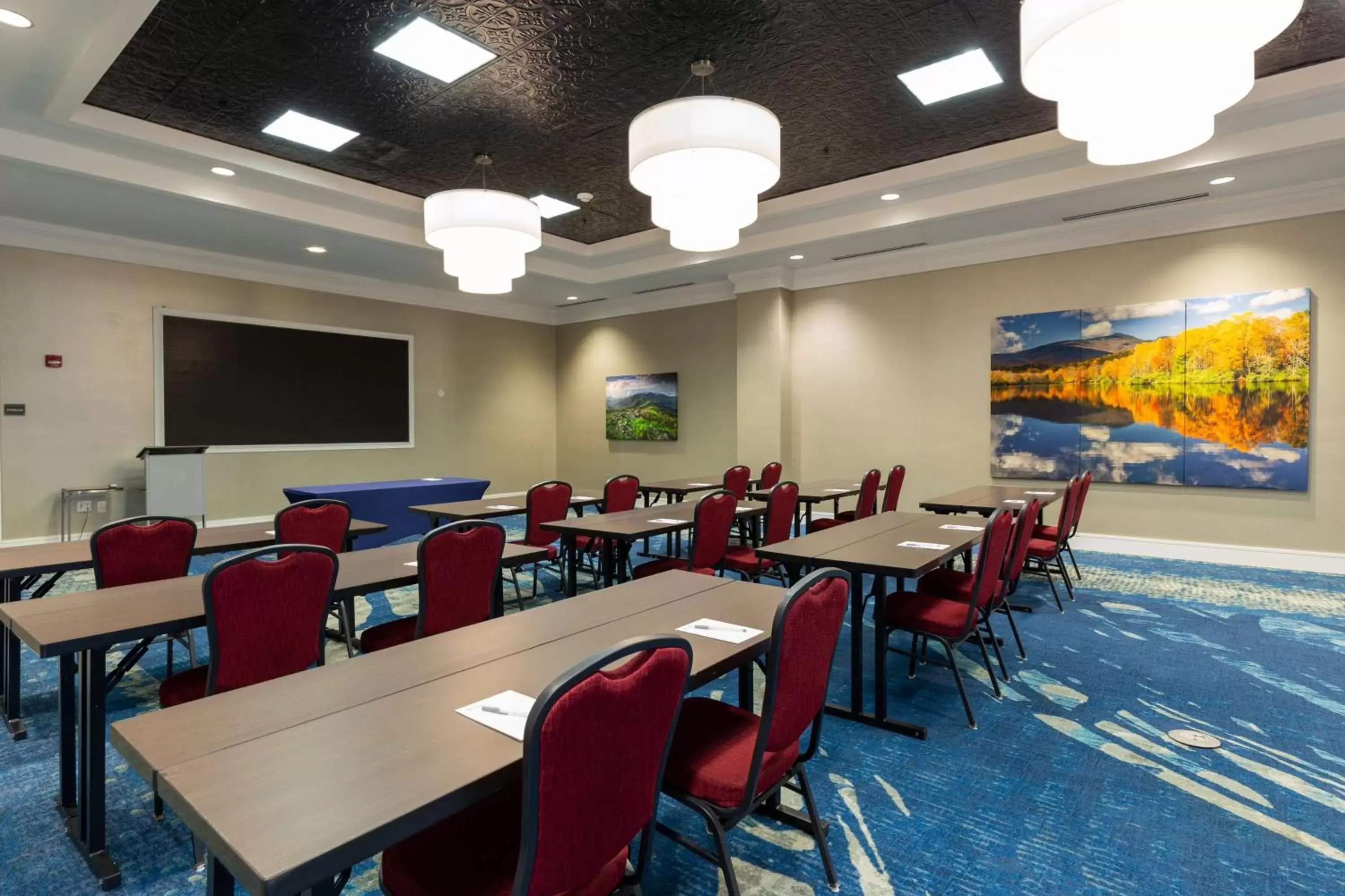 Meeting/conference room in Hilton Garden Inn Asheville Downtown