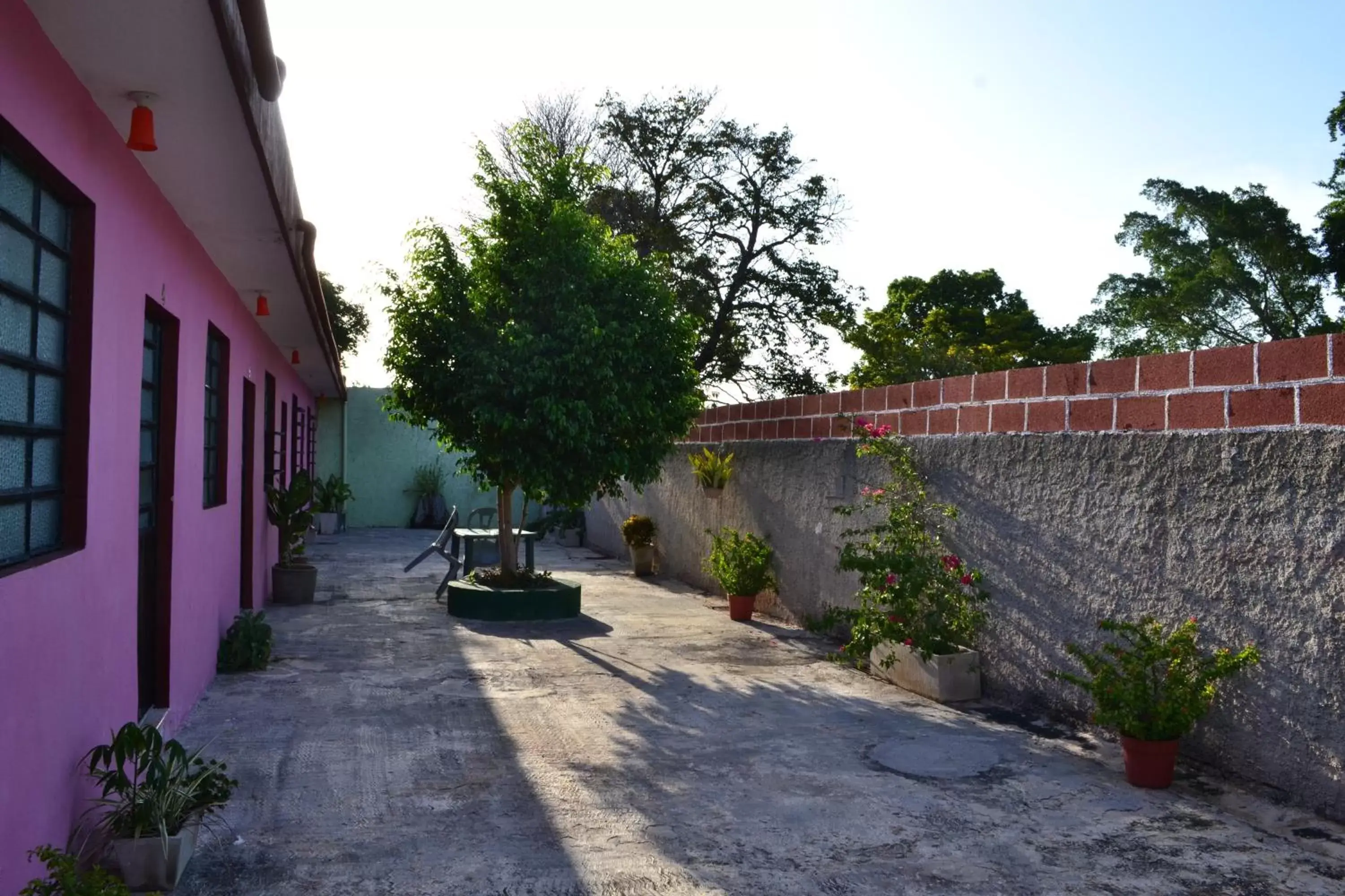 Garden in Casa Cuevas & Amaro