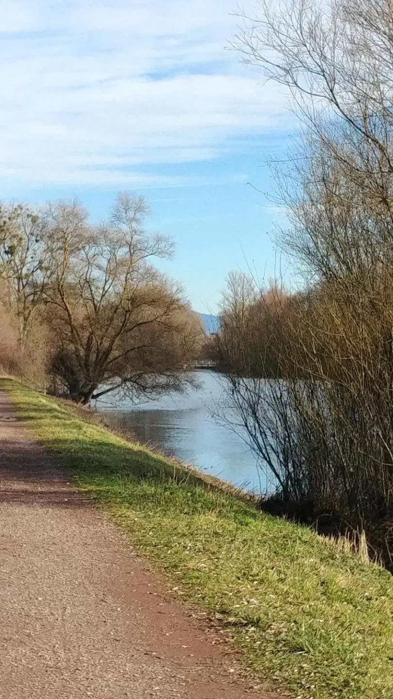 Natural Landscape in Au jardin de la Maison des Soeurs