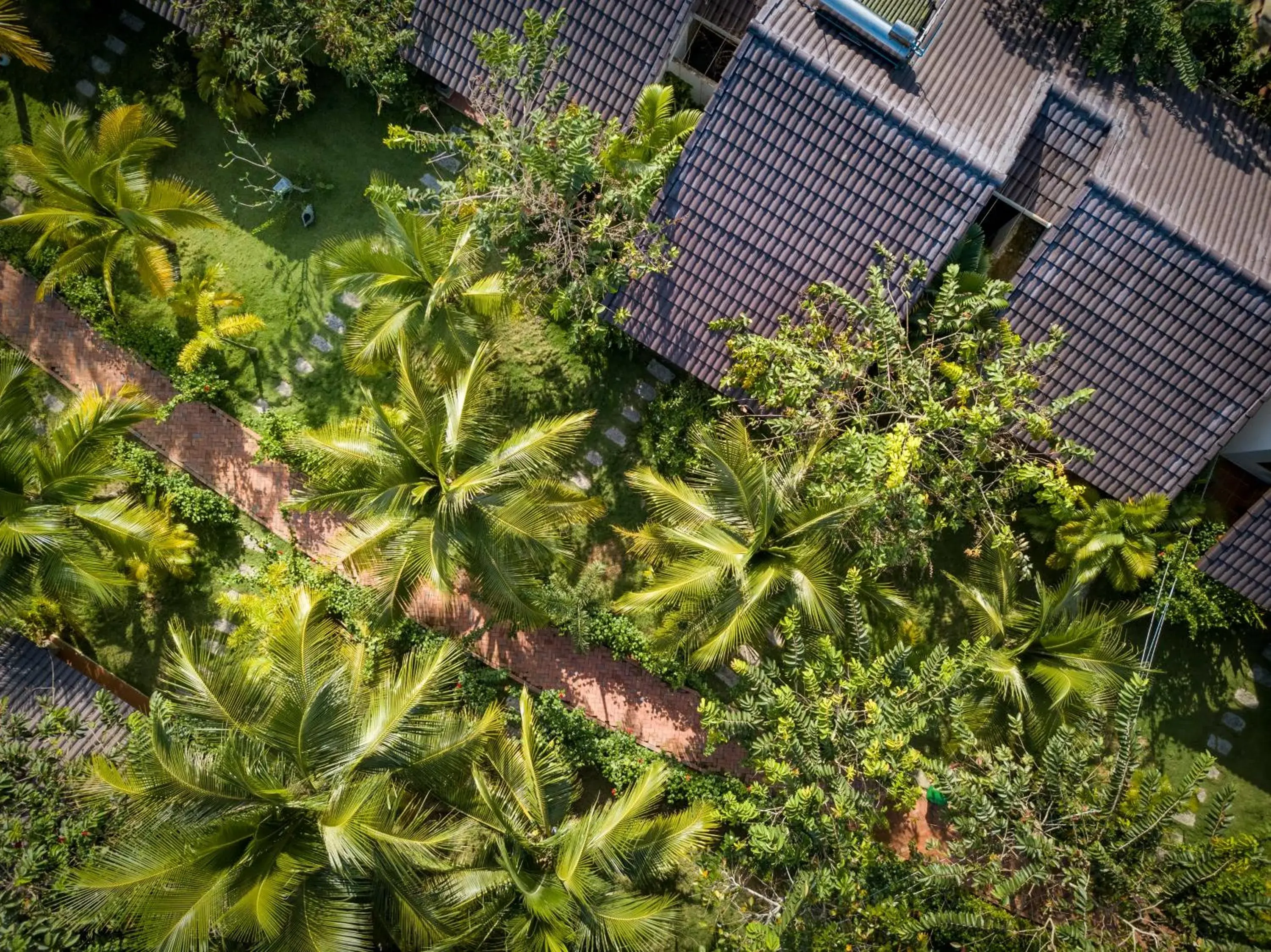 Day, Bird's-eye View in La Casa Resort