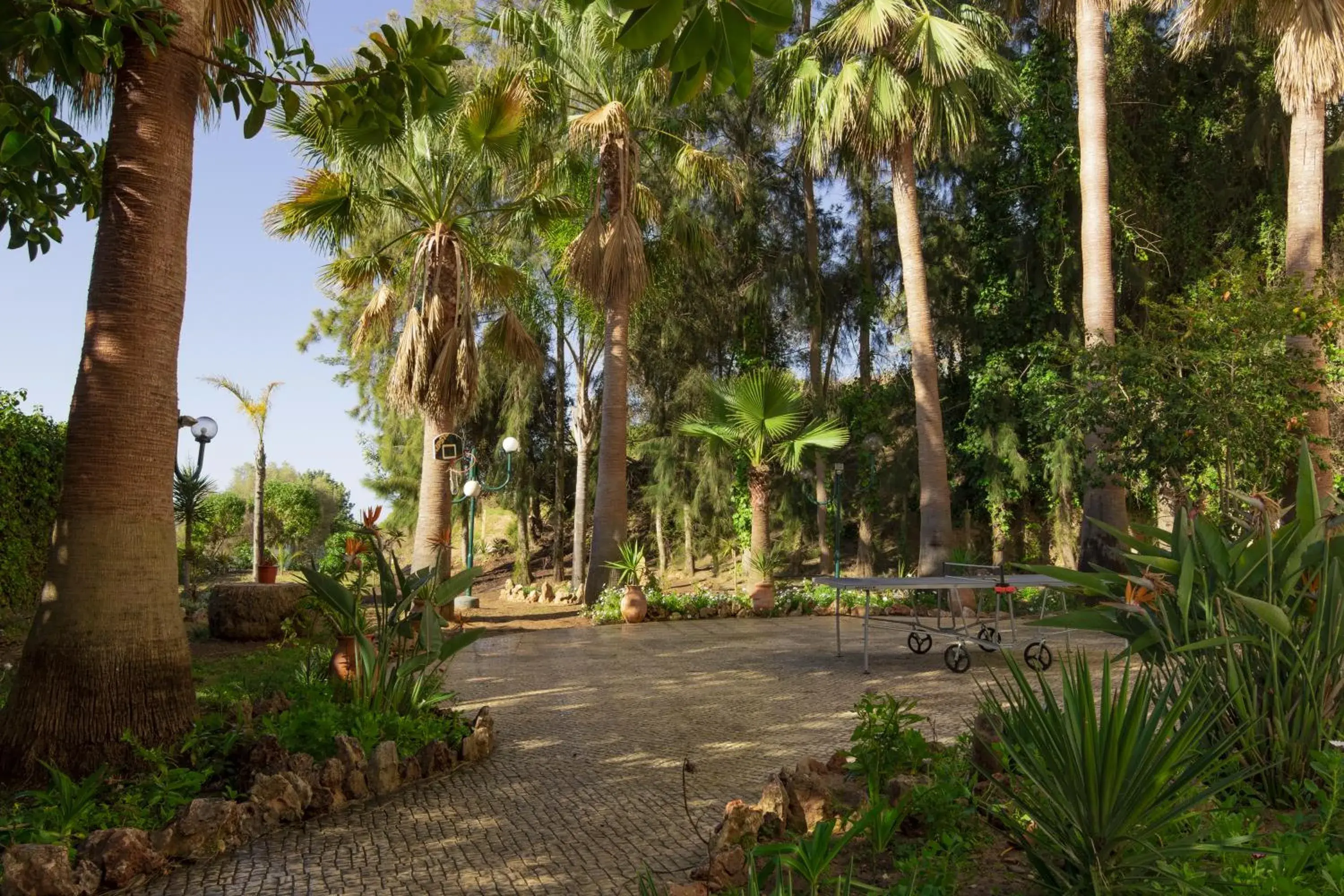 Garden in Luna Miramar Club