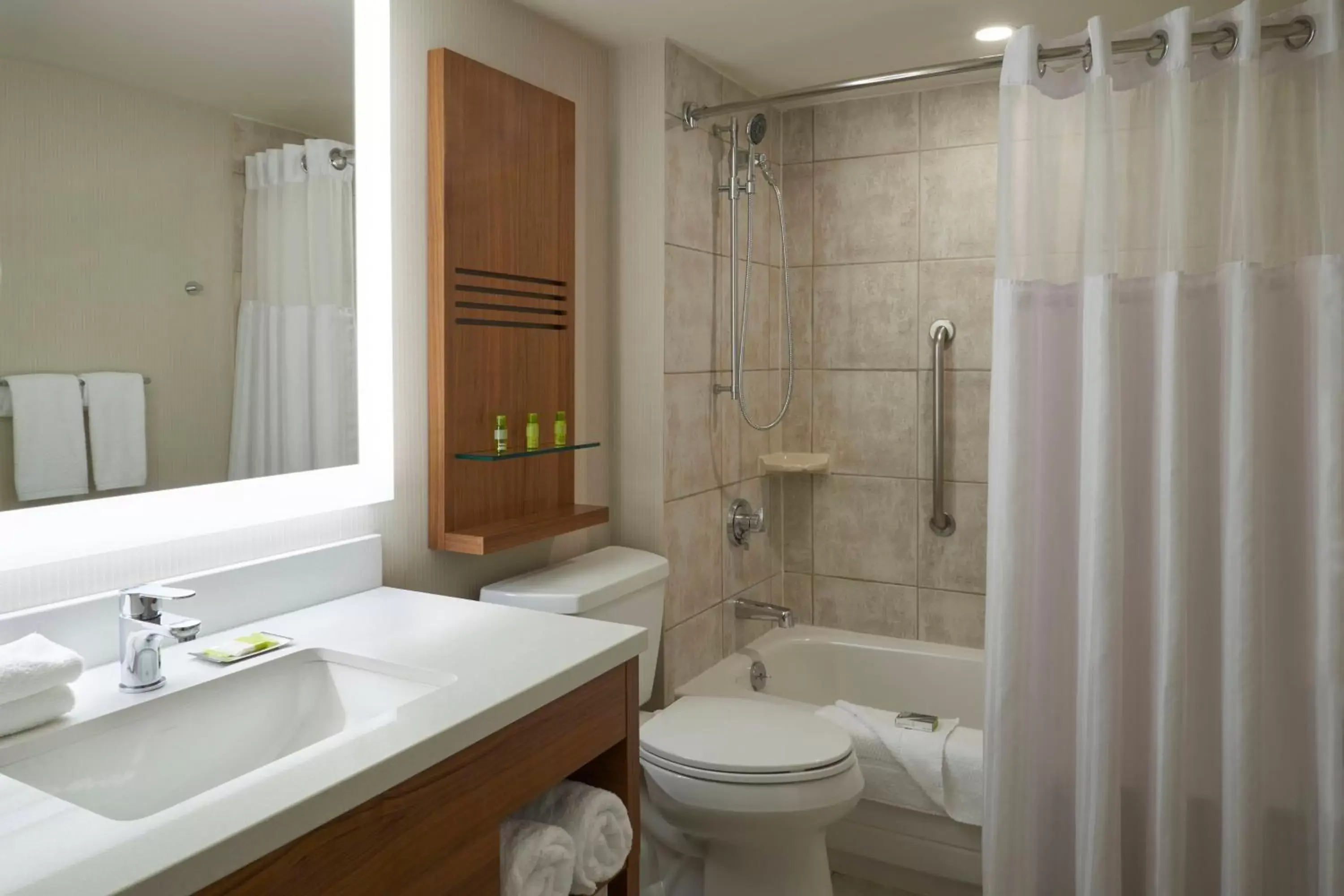 Bathroom in Delta Hotels by Marriott Toronto Airport & Conference Centre