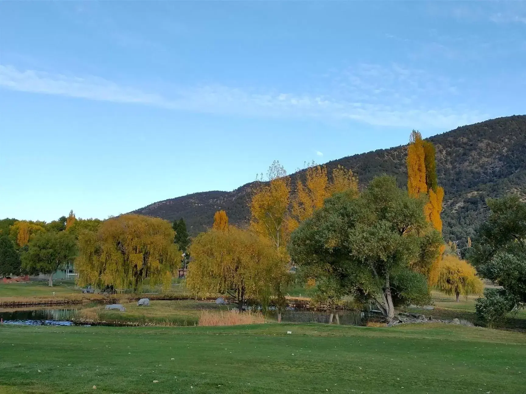 Natural landscape in The Old Bear BnB