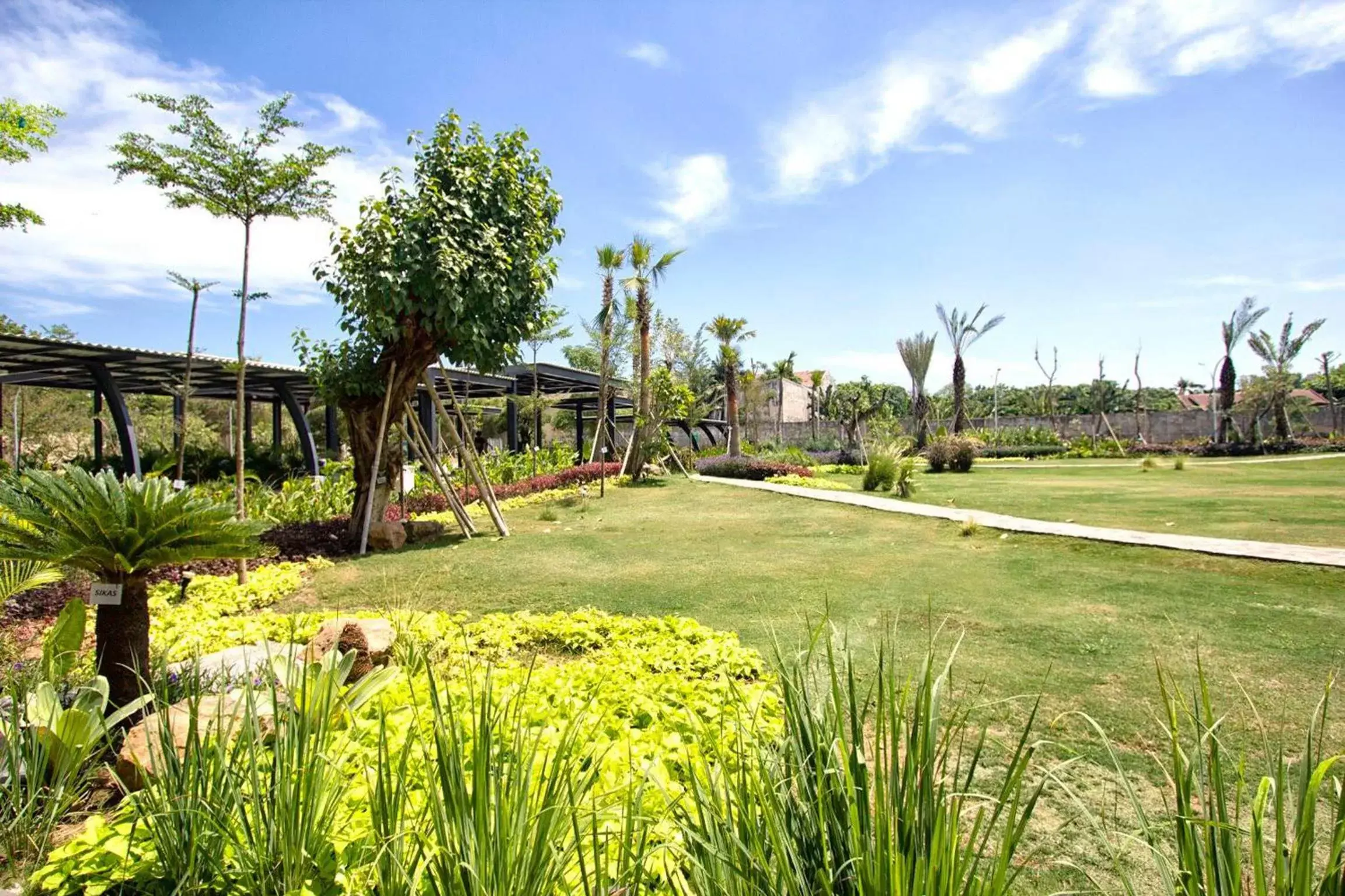 Natural landscape, Garden in MaxOneHotels at Resort Makassar